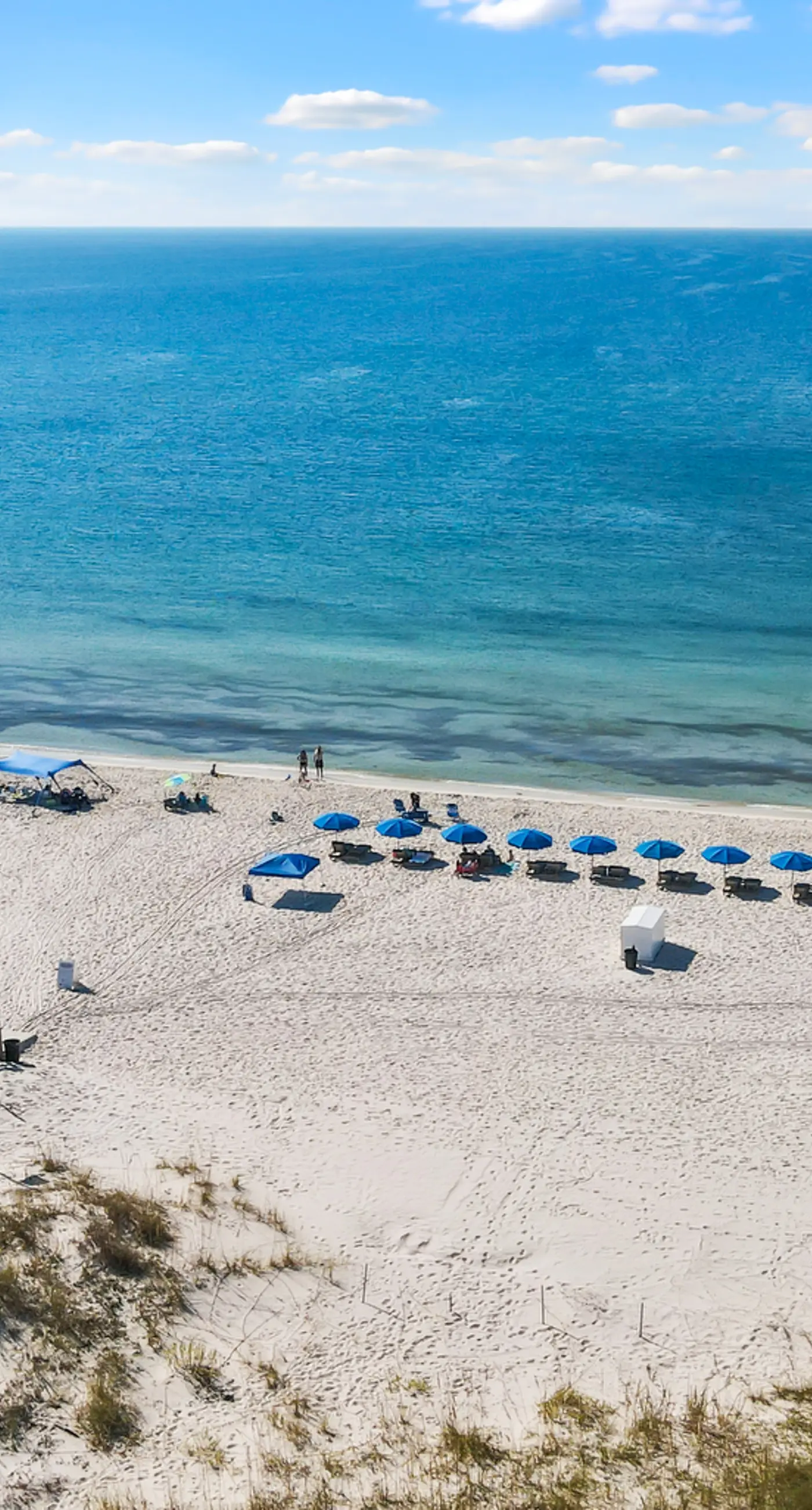 Gulf-front condo on the beach with panoramic beach views & pool access