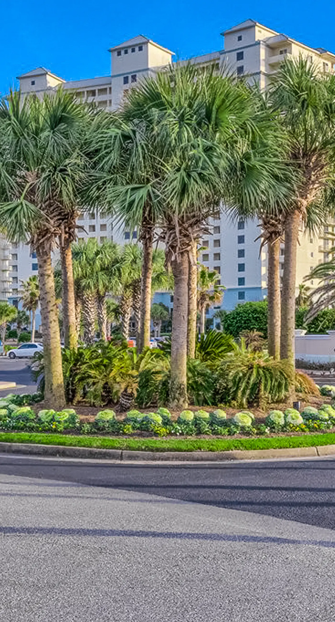 Lovely Condo on 11th Floor with Shared Pool, Hot Tub, Sauna, Balcony, Free WiFi