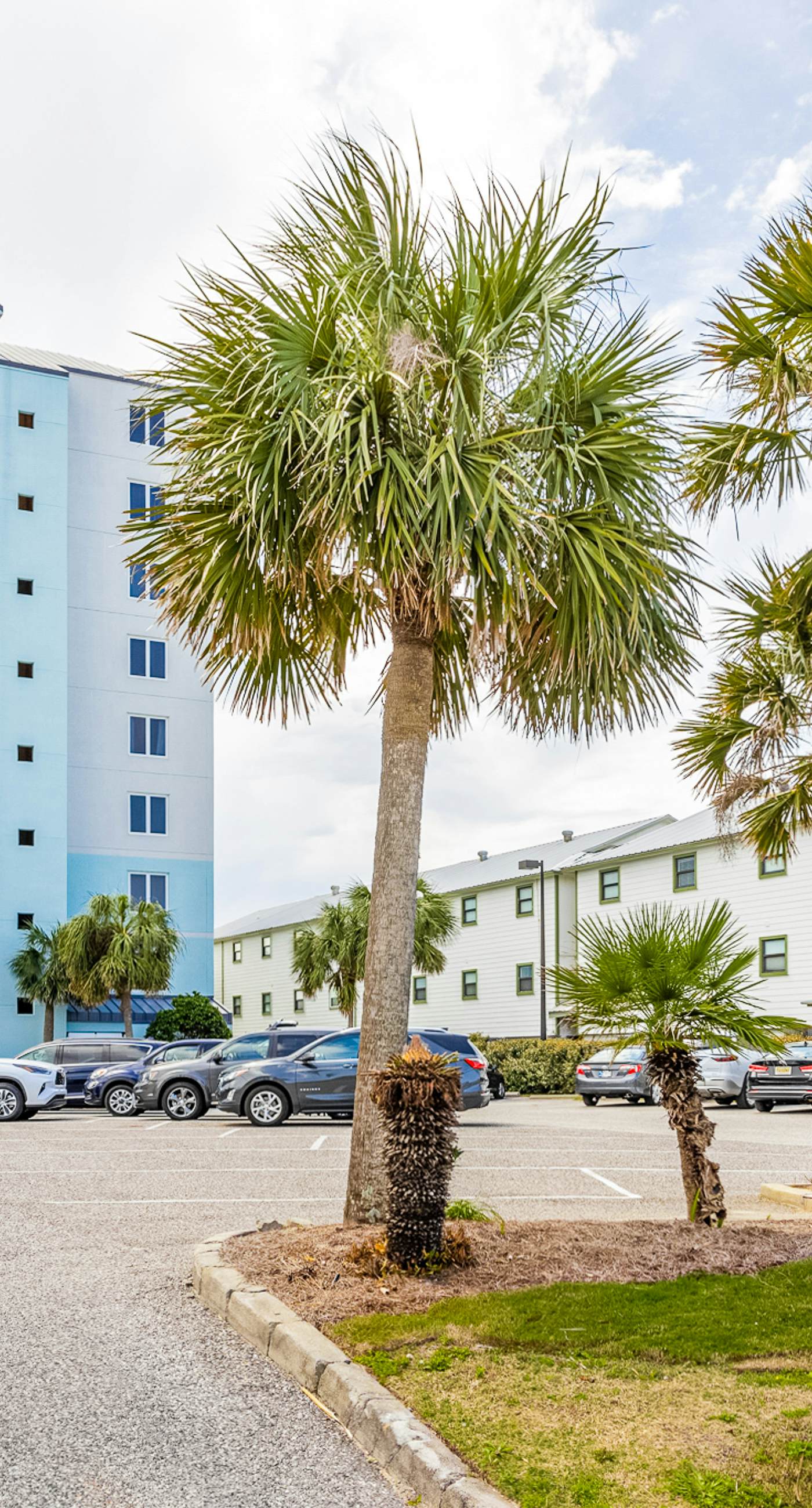 Bright and Convenient Condo Overlooking the Gulf + Shared Pool, Free WiFi