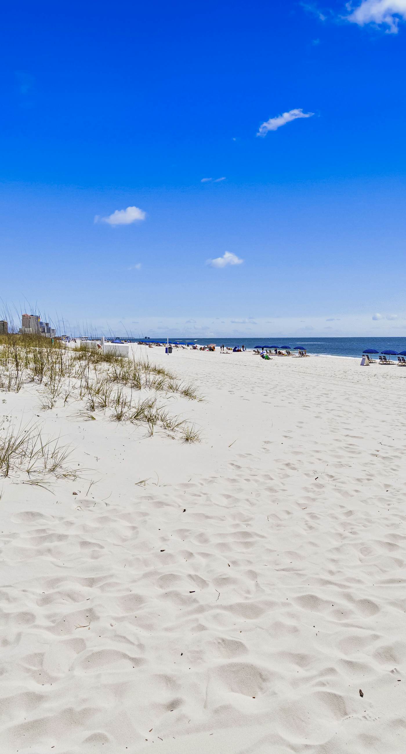 First-floor dog-friendly condo with on-site pool, beach access, & balcony