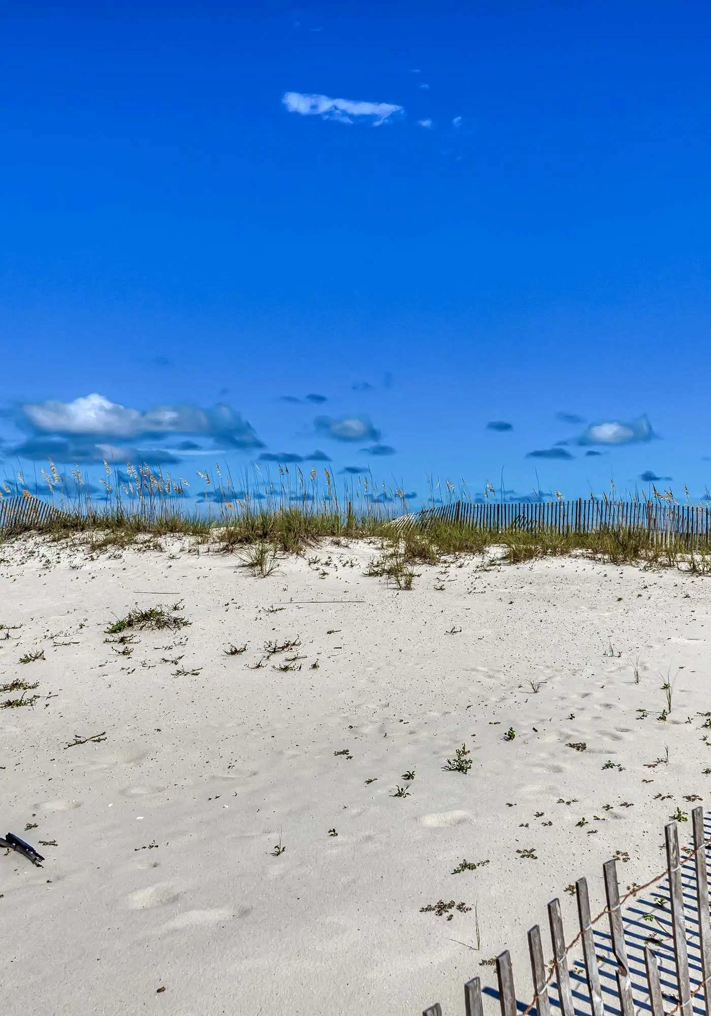 Beachfront condo with Gulf views, balcony, pool & AC - snowbird-friendly