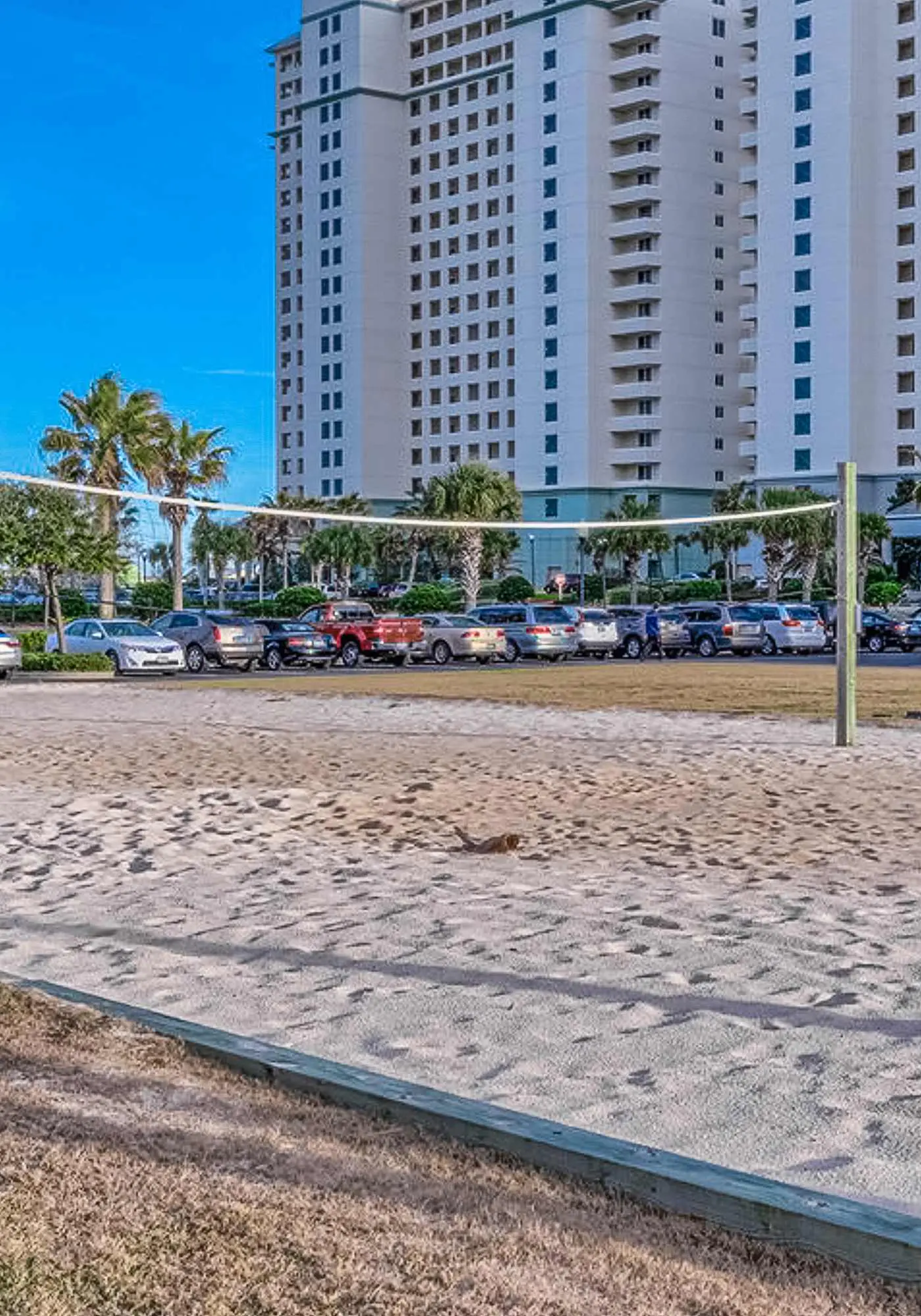 Gulf-front 10th-floor condo with beach views, sauna, gym, volleyball, pools, AC