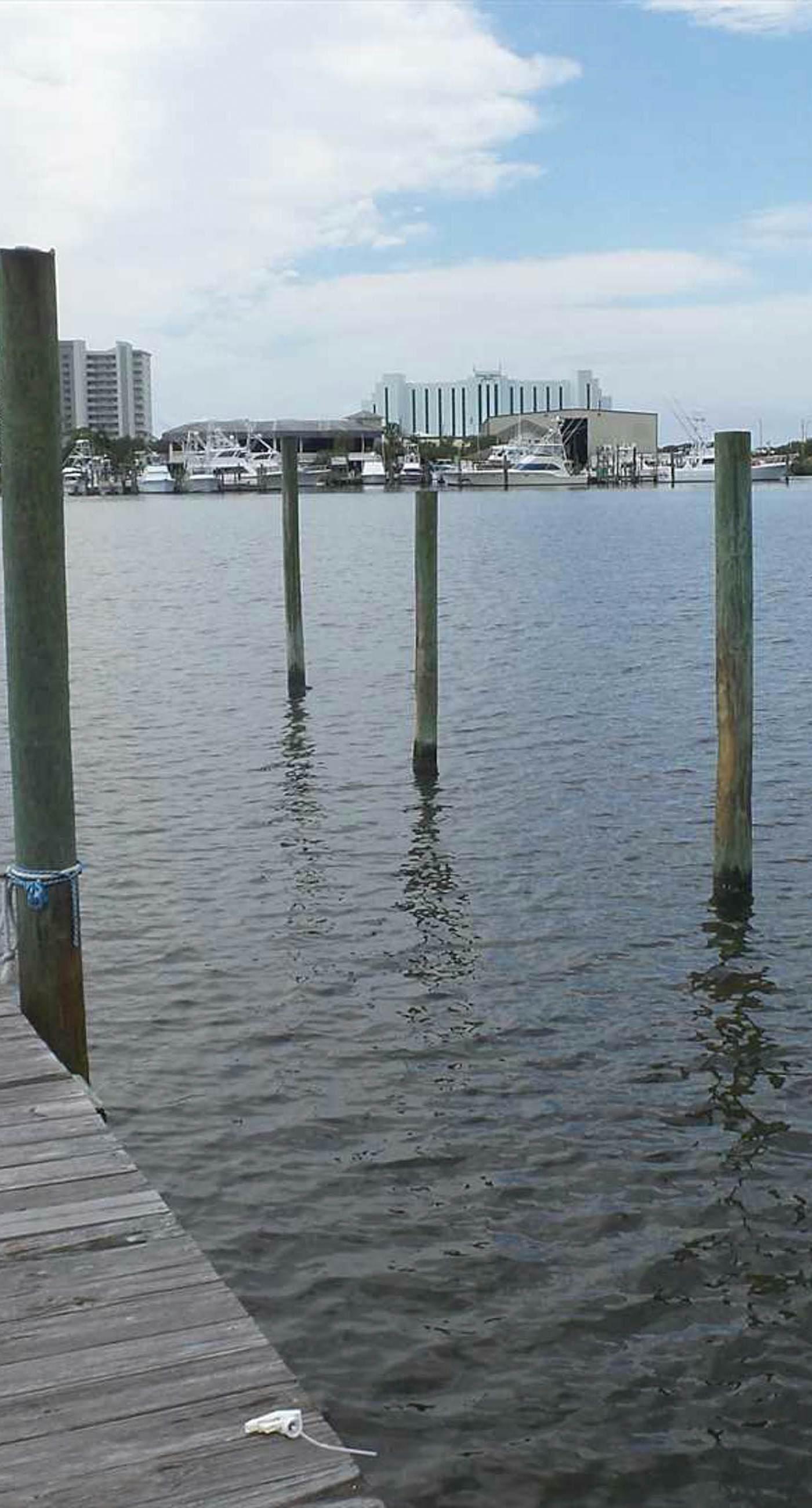 Dog-friendly bay-view home with central AC - snowbirds welcome