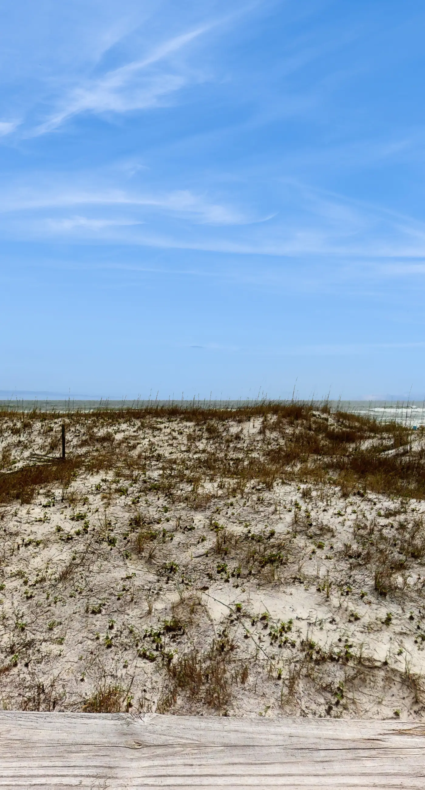 Dog-friendly beachfront home w Gulf views, spacious deck, WiFi, AC, W&D