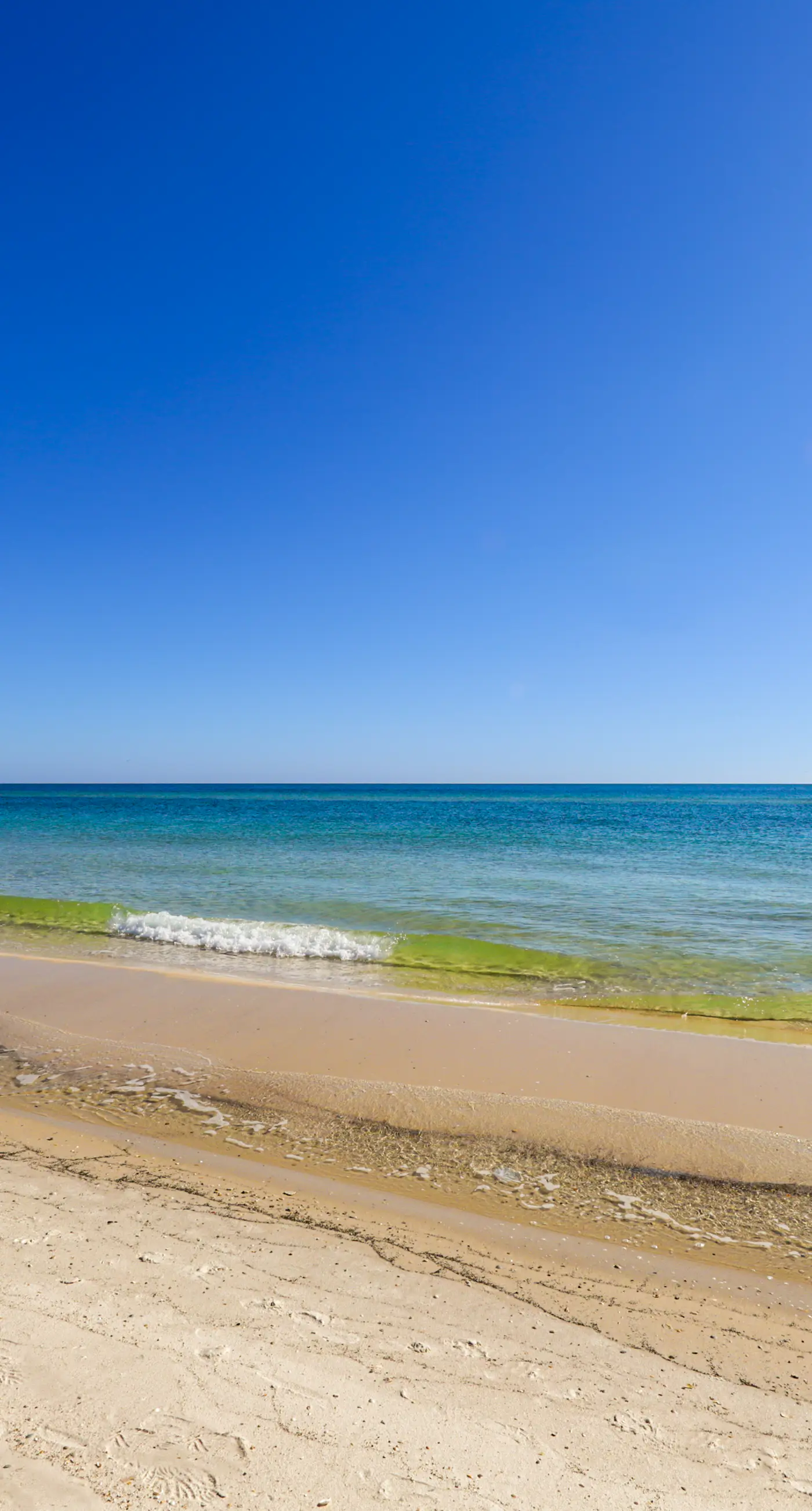 Beachfront condo w/ private balcony & shared pools, gym & sauna