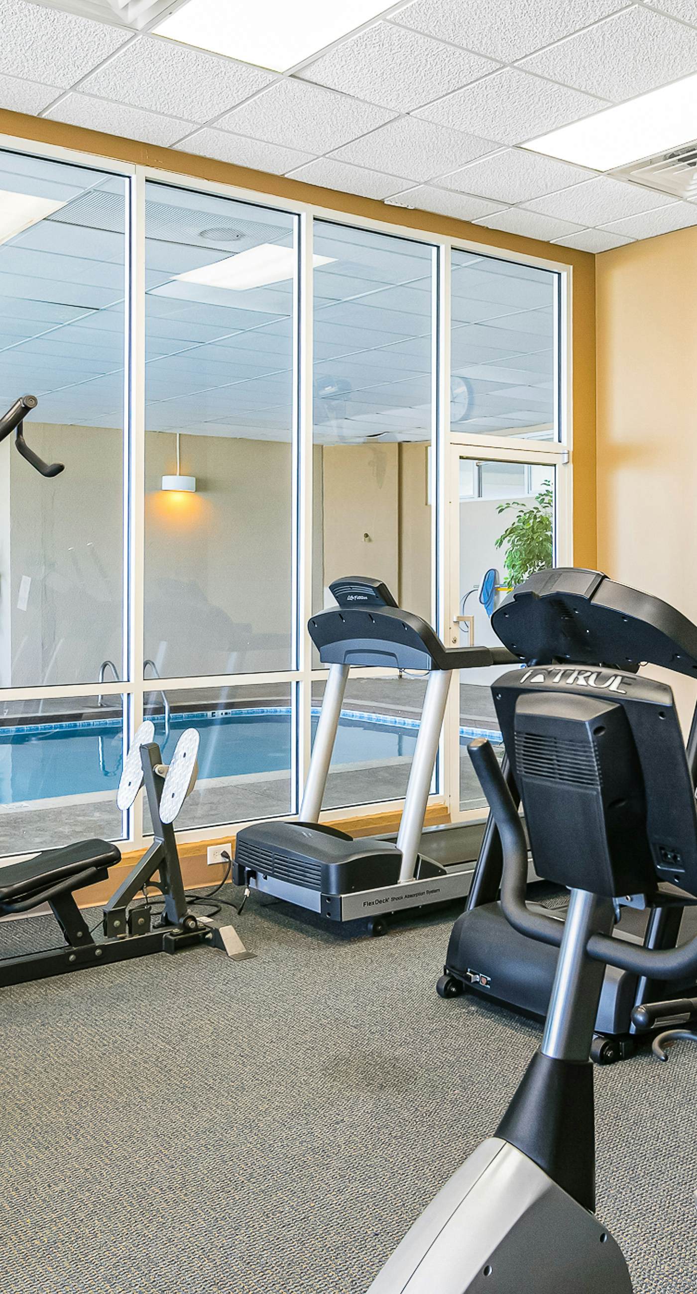 Spacious, Gulf-front condo w/ views & access to pools, sauna & gym