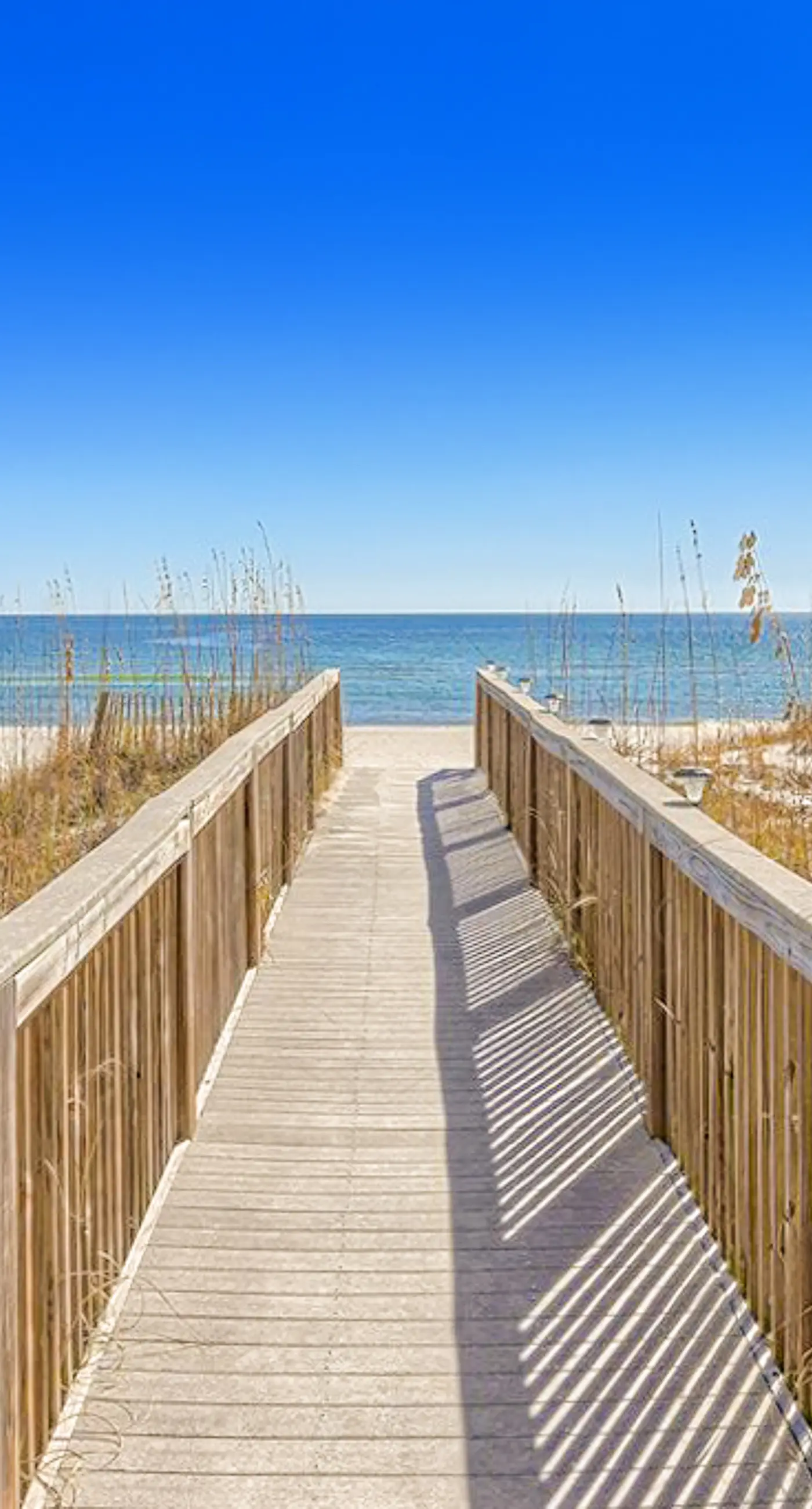 Beachfront condo with pool, private balcony, & washer and dryer!