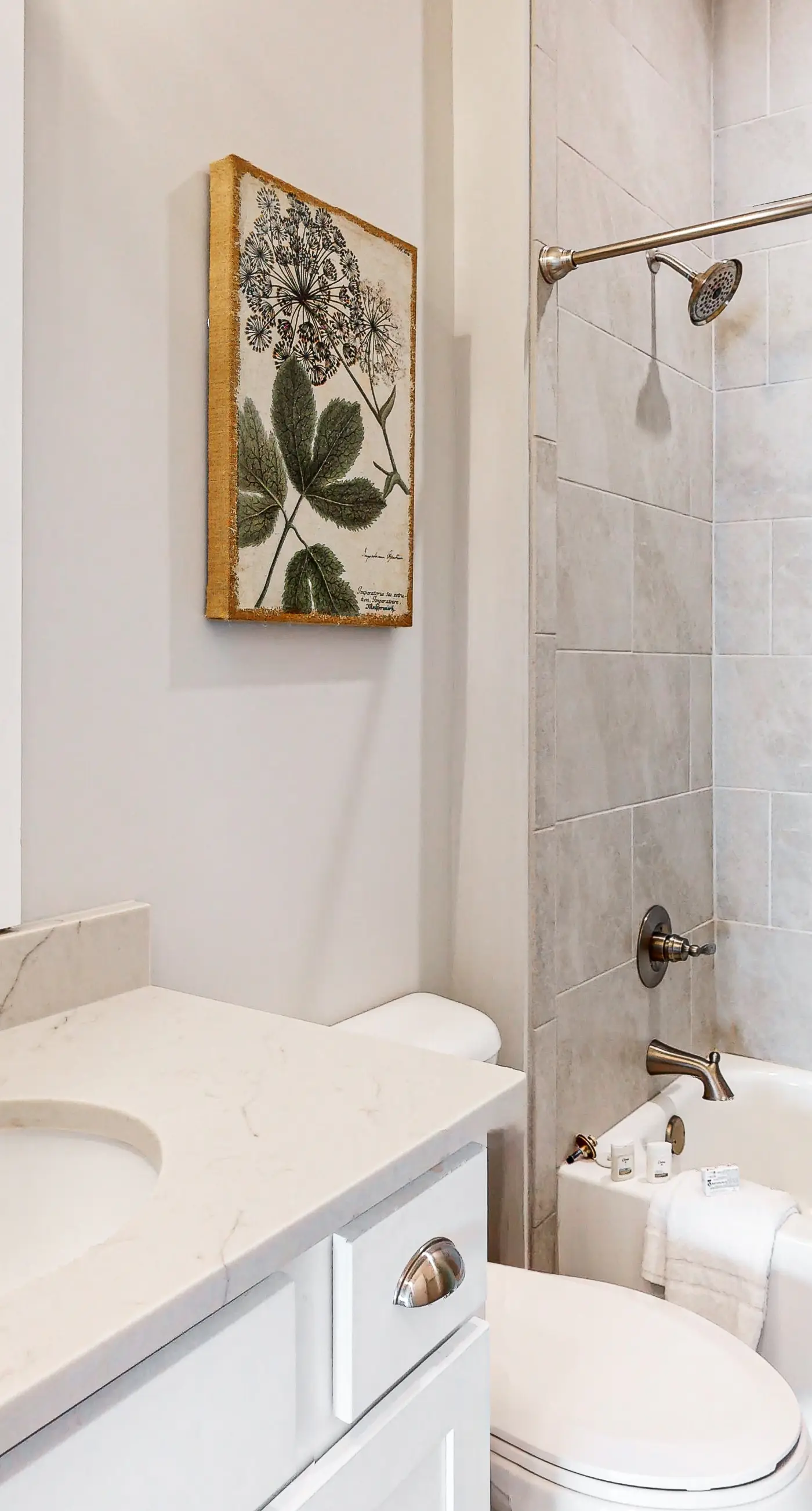 Upscale beachside dog-friendly home near the beach with grill, washer,dryer & AC