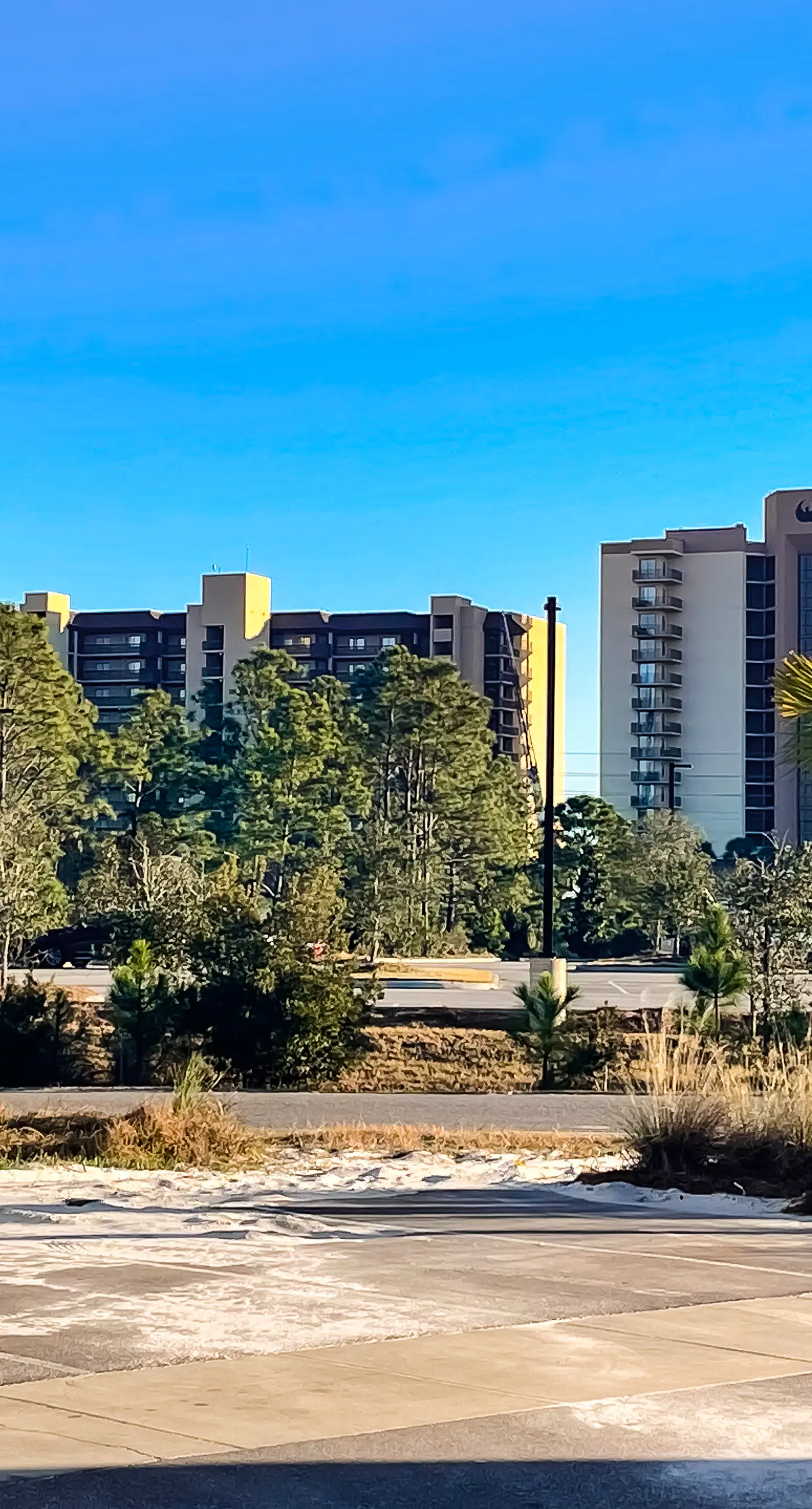 Upscale beachside dog-friendly home near the beach with grill, washer,dryer & AC