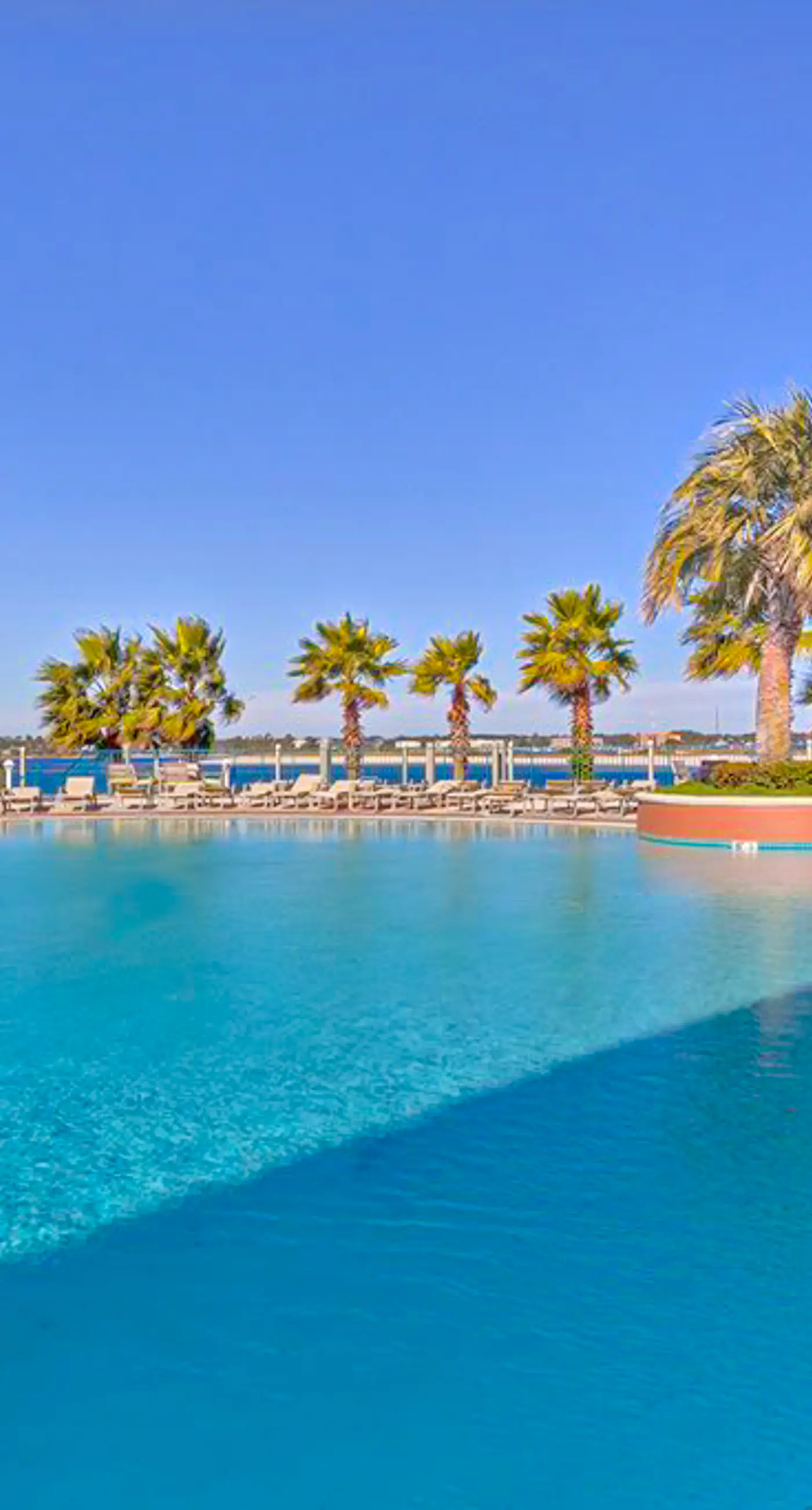 Beachfront 13th-floor condo with balcony, hot tubs, pools, & tennis courts