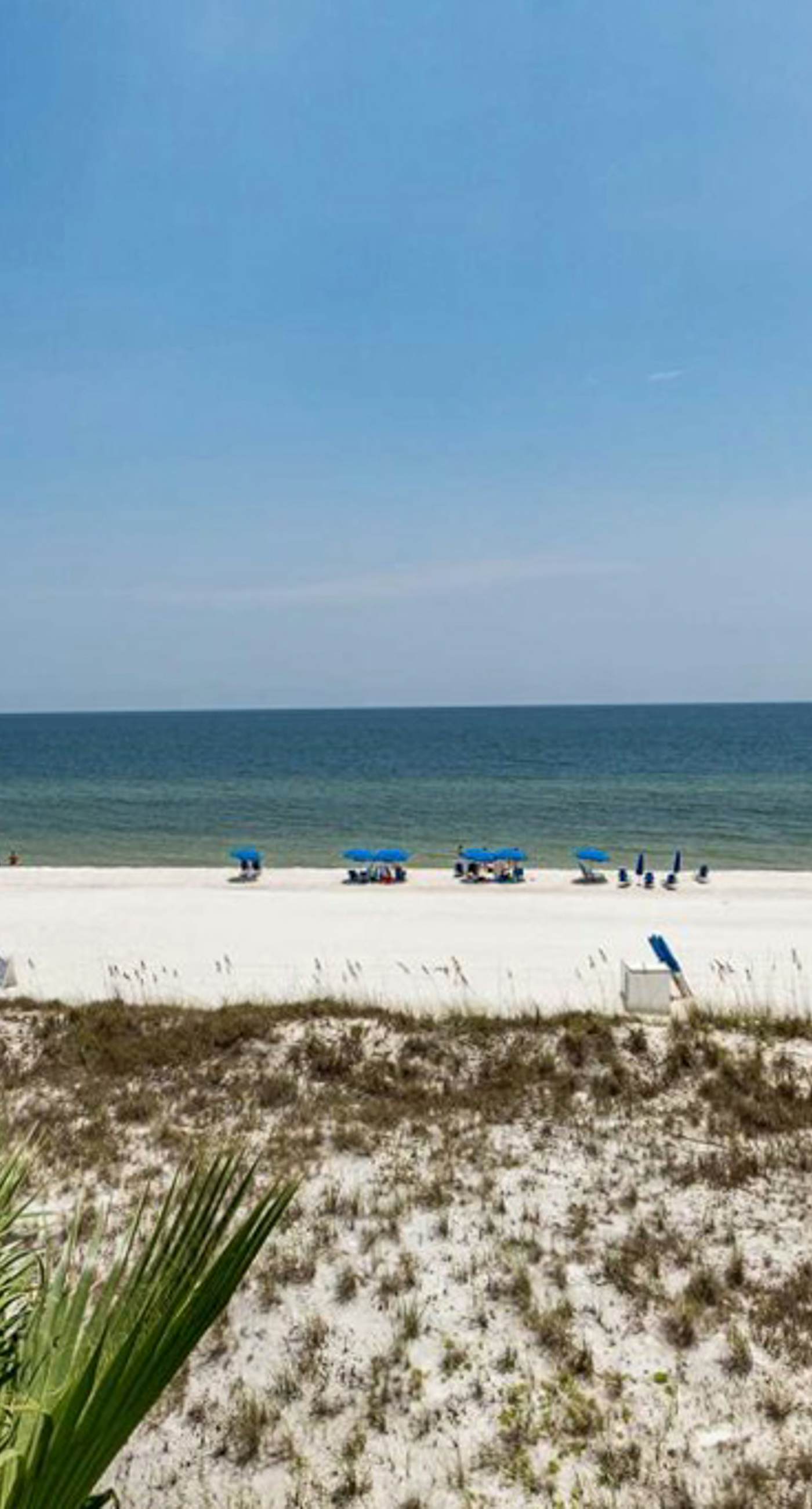 Gulf-Front condo with balcony, beach access, WiFi, AC, & outdoor pool