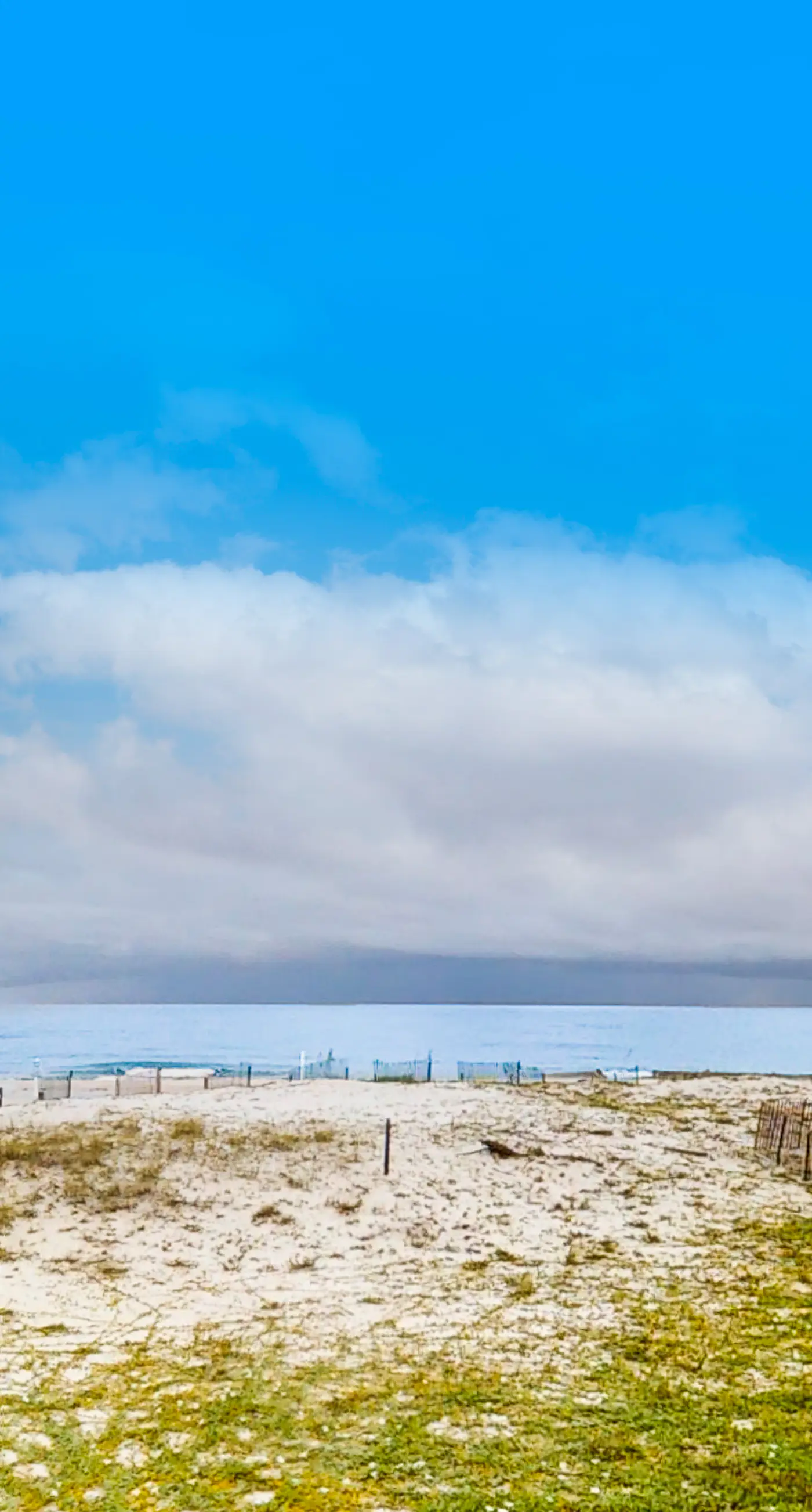 Gulf-Front Condo with Shared Outdoor Pool, Private Balcony, Incredible Views & WiFi