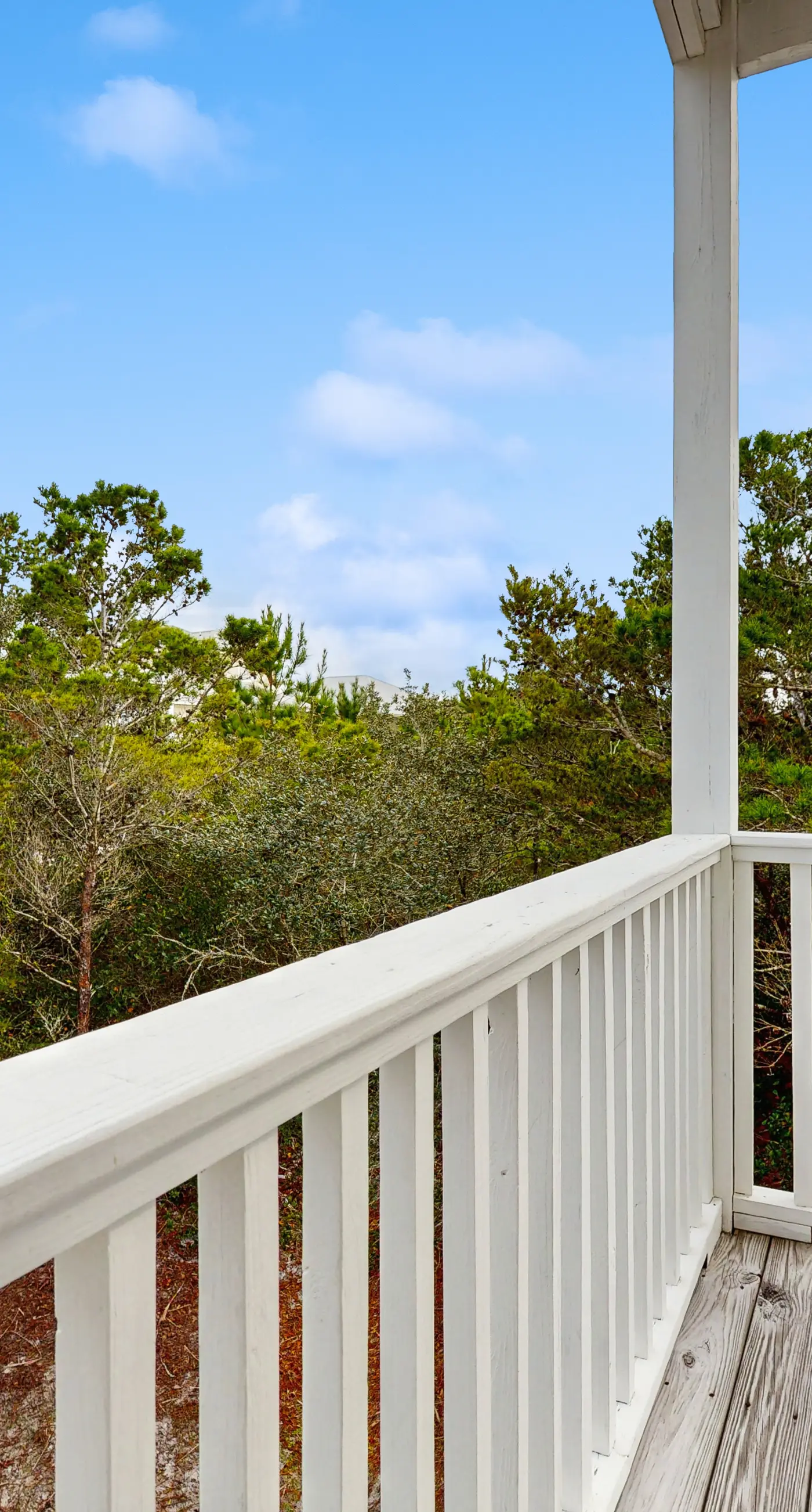 Spacious private home with patio, balconies, close to beaches