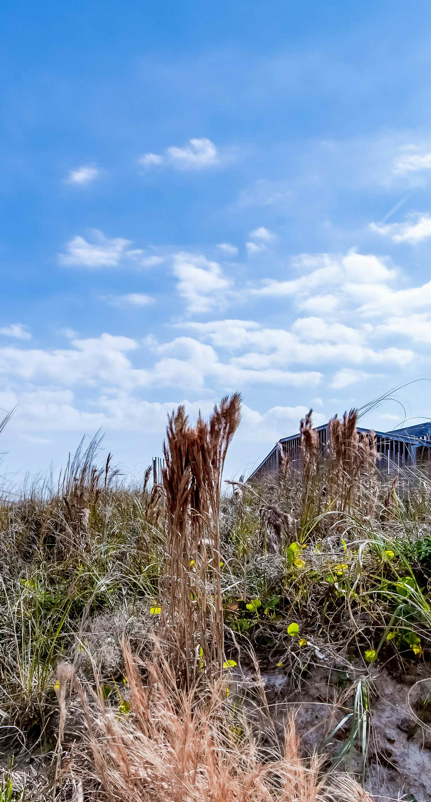 Beachfront condo with enclosed balcony, pool, views, central AC, & grill