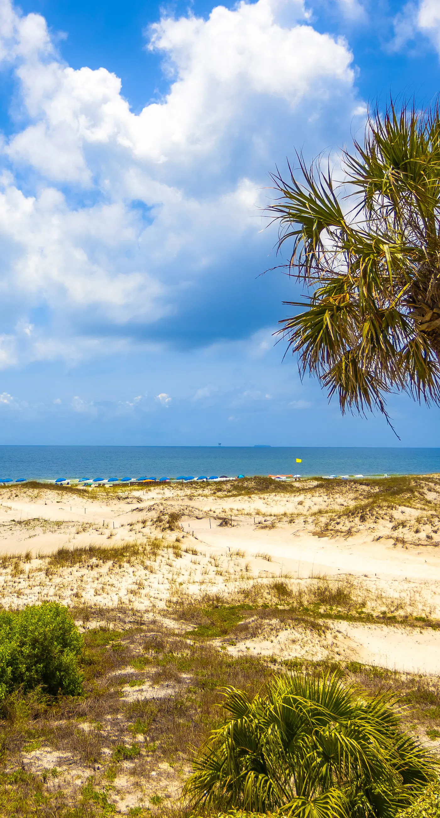 Gulf-view condo near Kiva Dunes with pool, hot tub, & gym - snowbird's delight