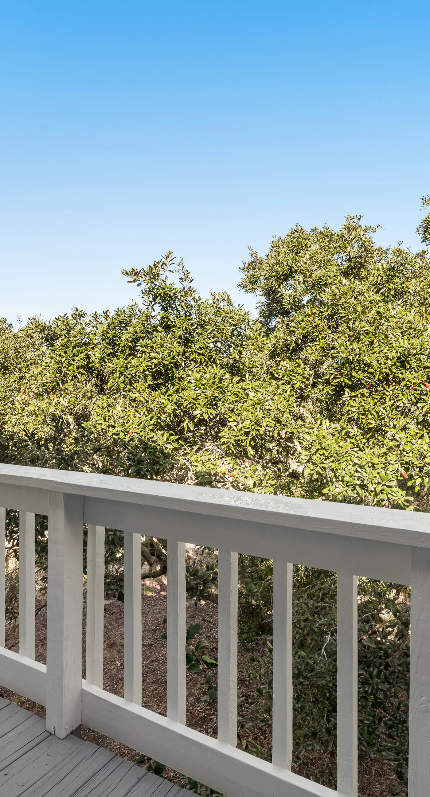 Newly renovated, bright & chic Home with private deck, grill & near the beach