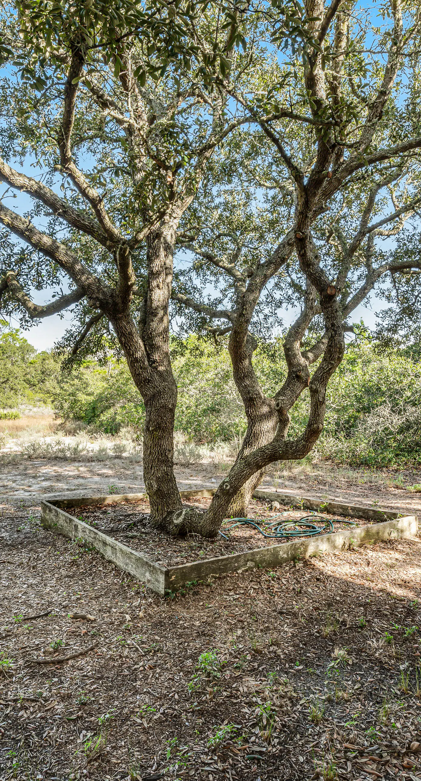 Newly renovated, bright & chic Home with private deck, grill & near the beach