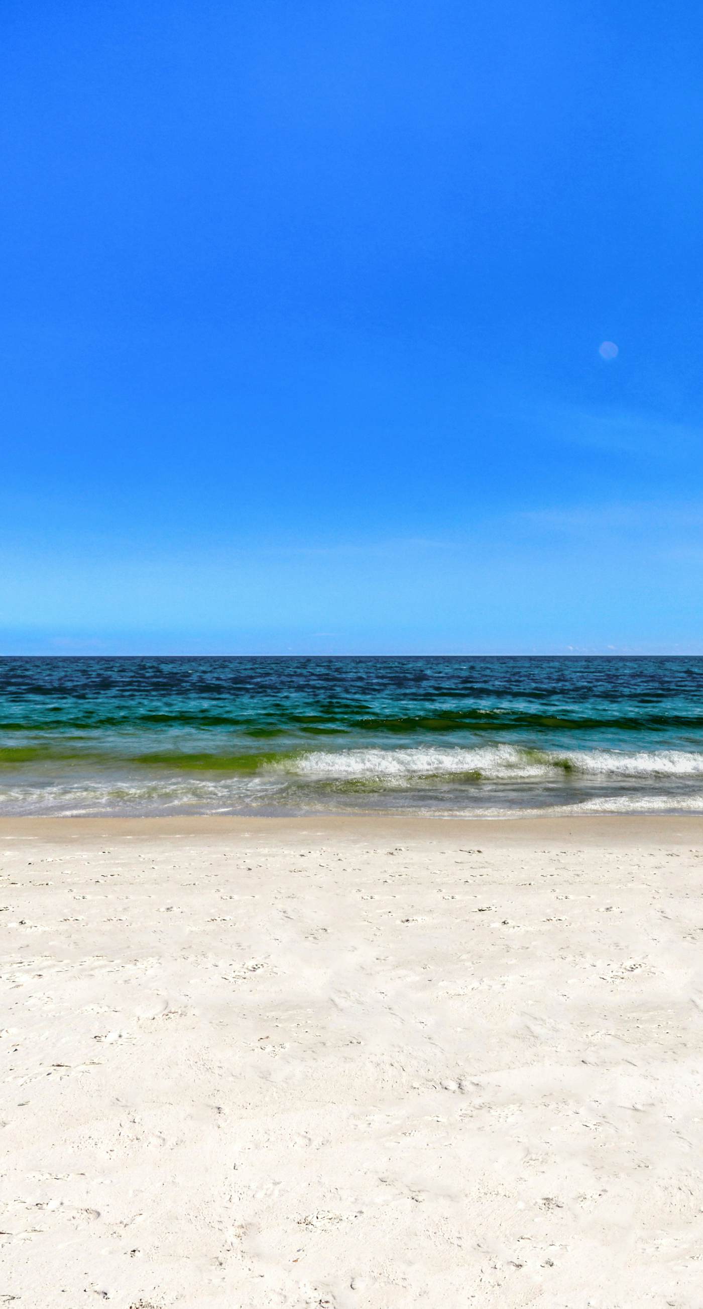 Beachfront, corner condo w a furnished balcony, shared pool, & grilling area