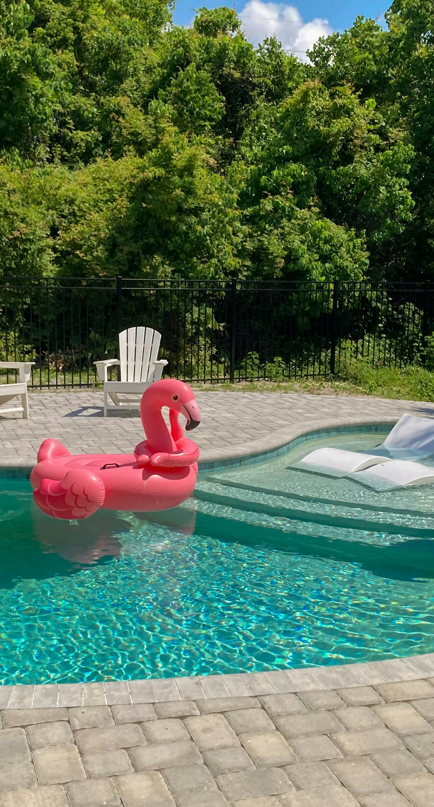 New dog-friendly home with a private pool near the Gulf