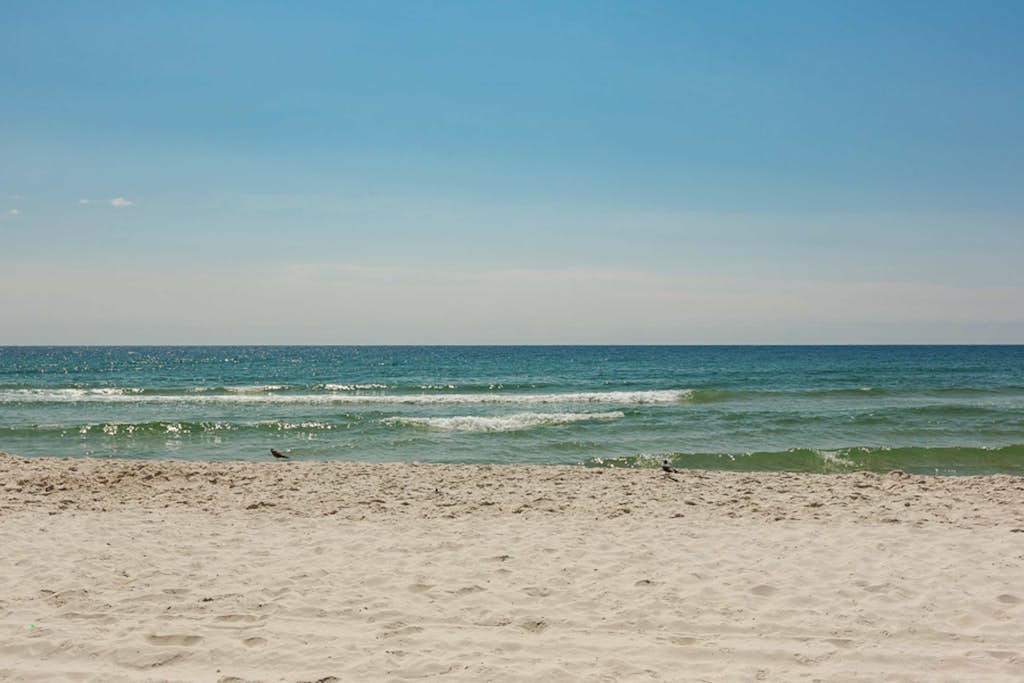The Beach House