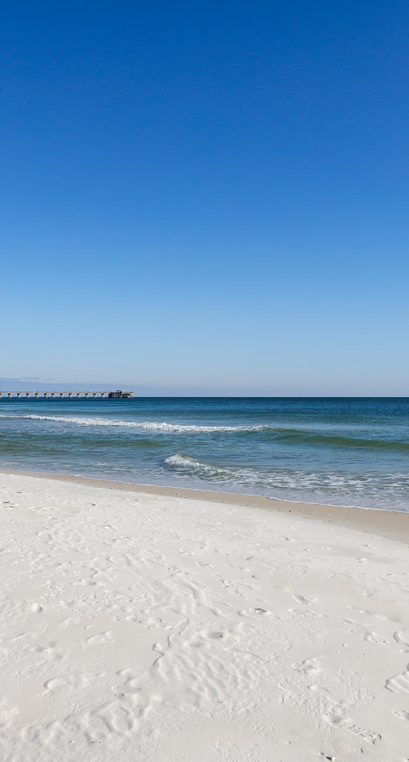 Close to Beach The Colonnades, Stellar Gulf-Front Gem, Pool, Sauna, Gym