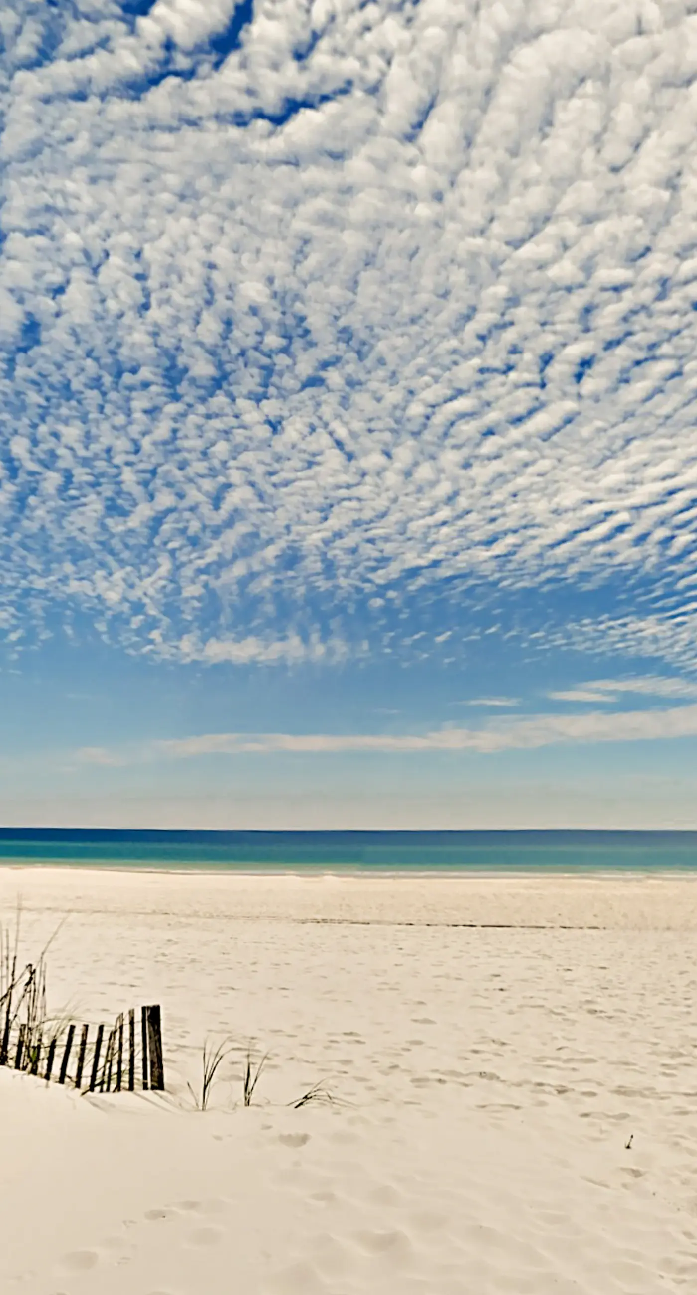 Fun Seahorse condo with gas grill, W&D, & pool access - walk to West Beach