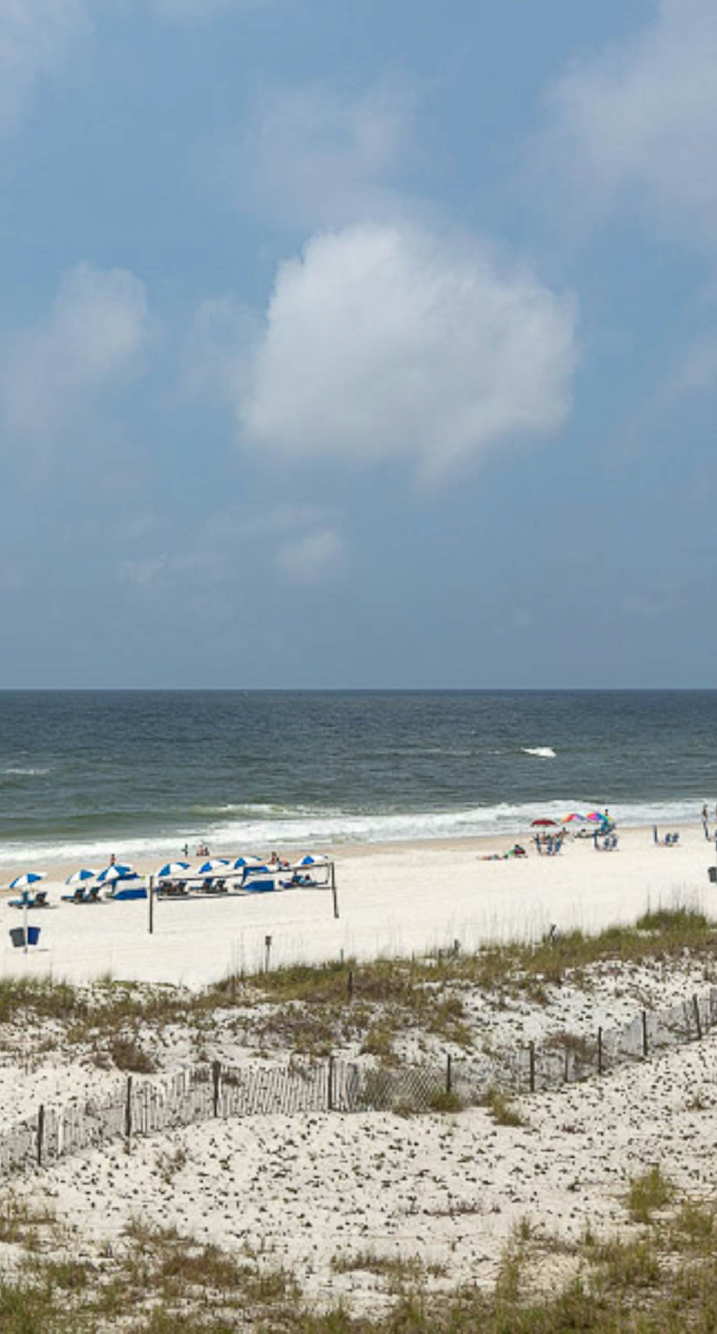 Coastal Condo w/ Balcony & Shared Pools/Hot Tubs/Gym and Gulf views