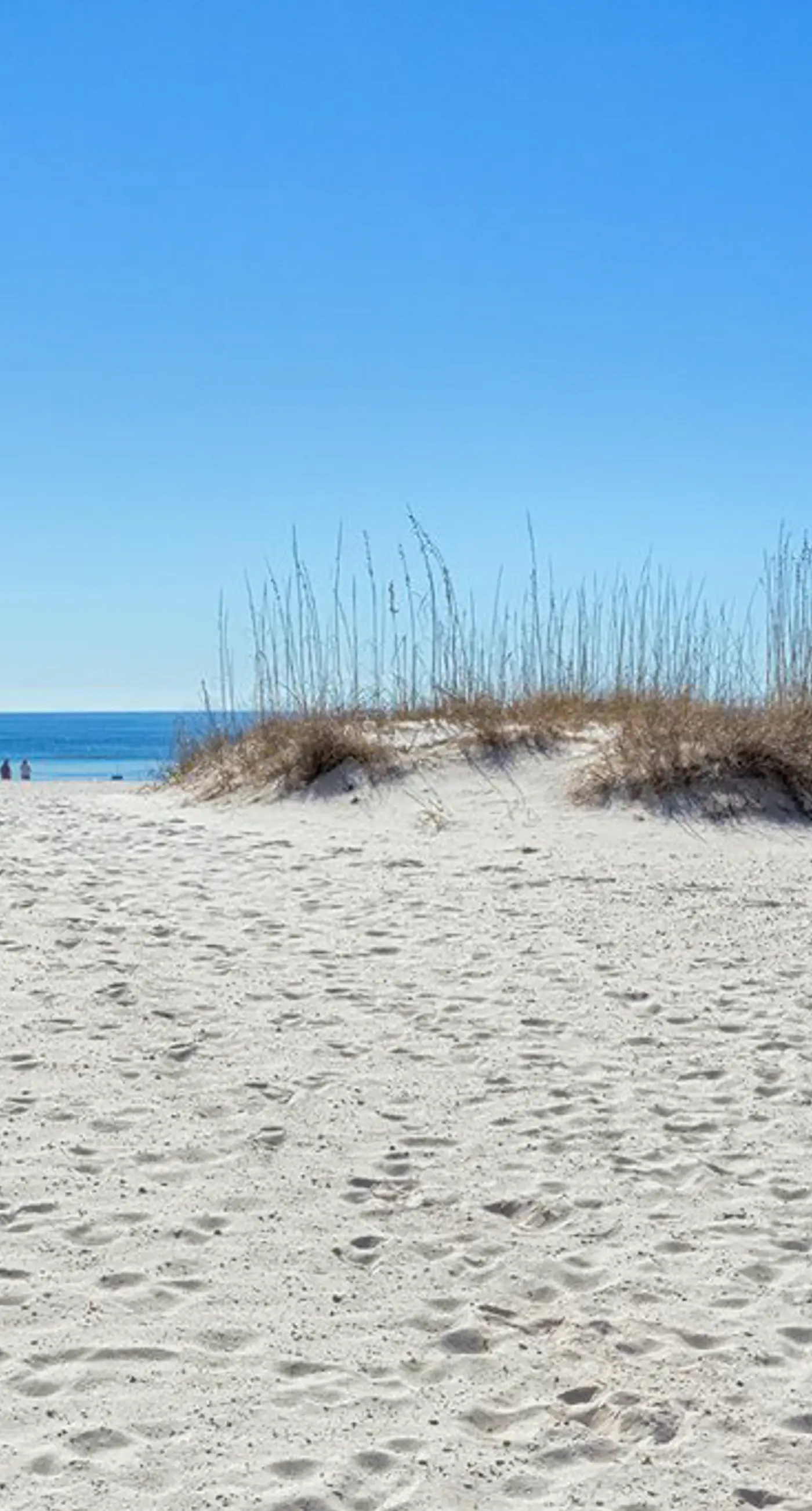 Second Floor Condo with Shared Pool, Fast WiFi, Central AC, and Full Kitchen