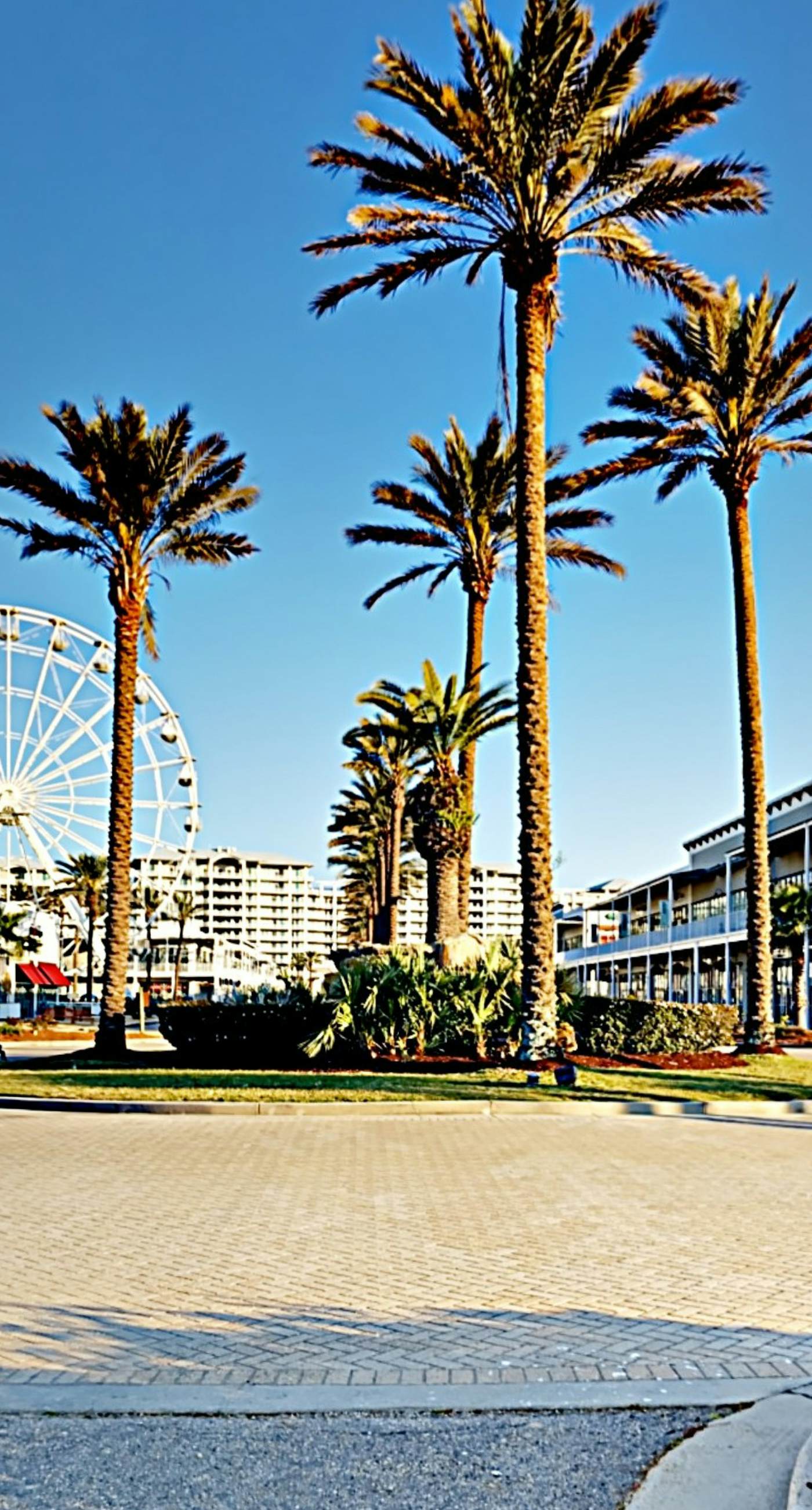 Spacious condo with pool & screened porch