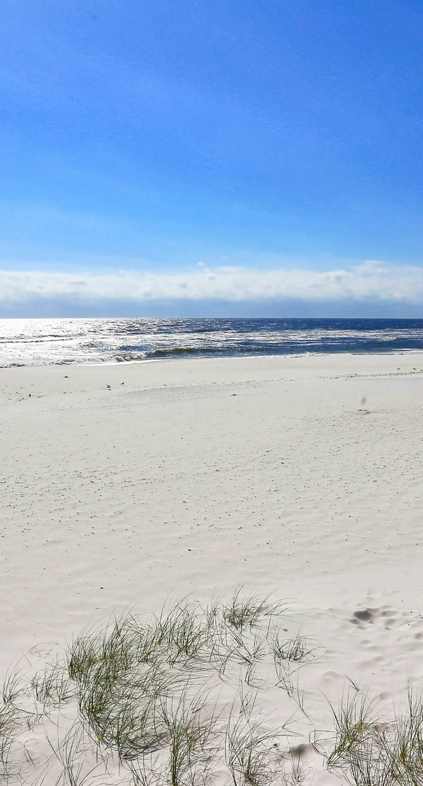 Coastal condo with special fall & winter rates