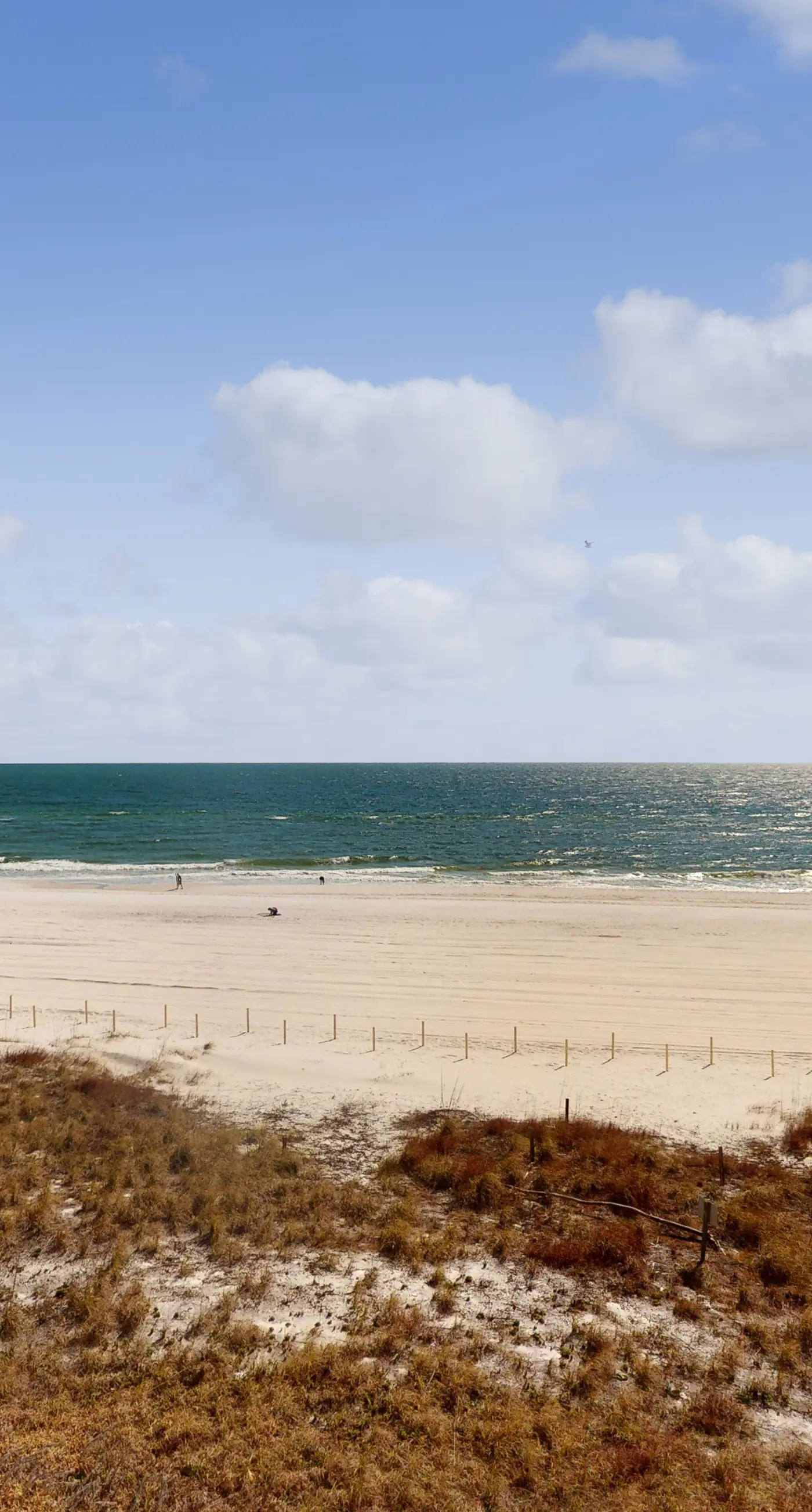 Enclave 403 | Gulf-Front Suite Retreat with WiFi, Balcony, & Shared Pool - Steps to the Sand