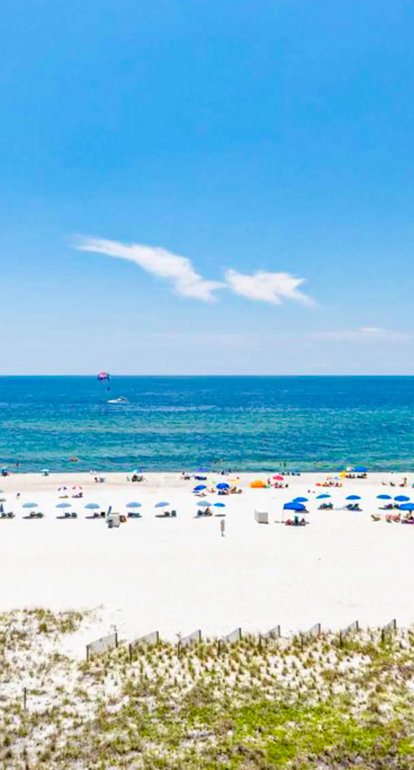 Snowbird-Friendly Gulf-Front Condo on 4th Floor wBalcony, Shared Pool, Hot Tub