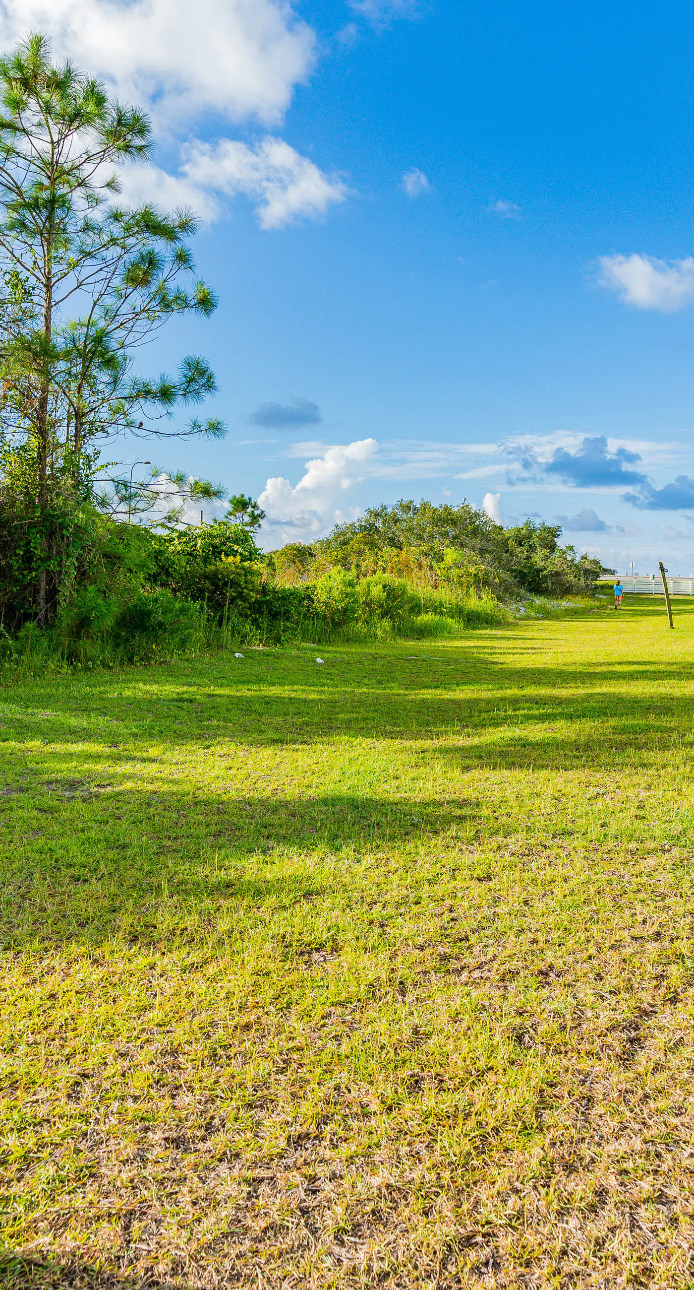 Gulf view condo with balcony, pool, & fitness room - walk to beach