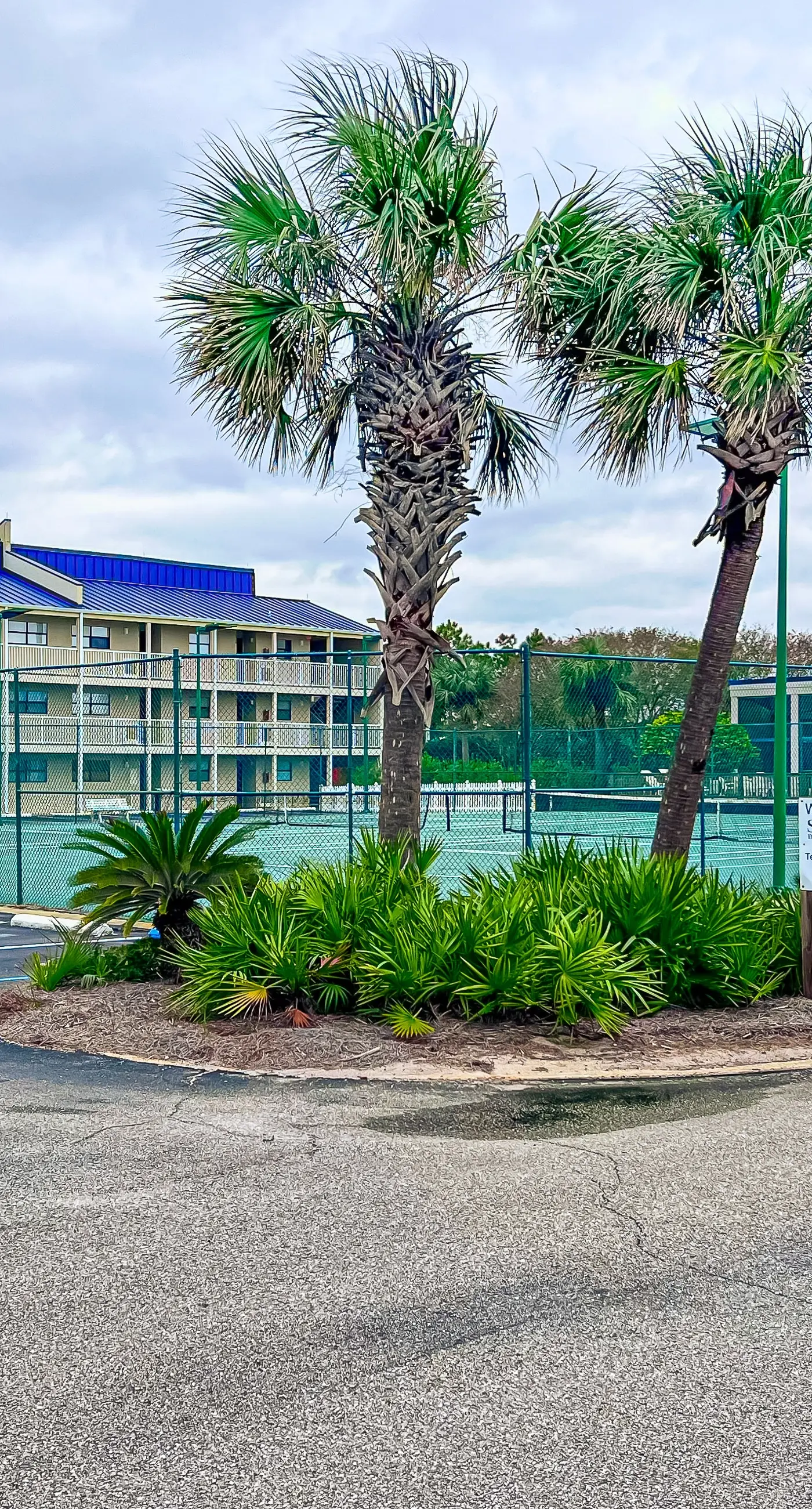 8th-floor beachfront condo w/ fitness center, hot tub, tennis courts, & 3 pools