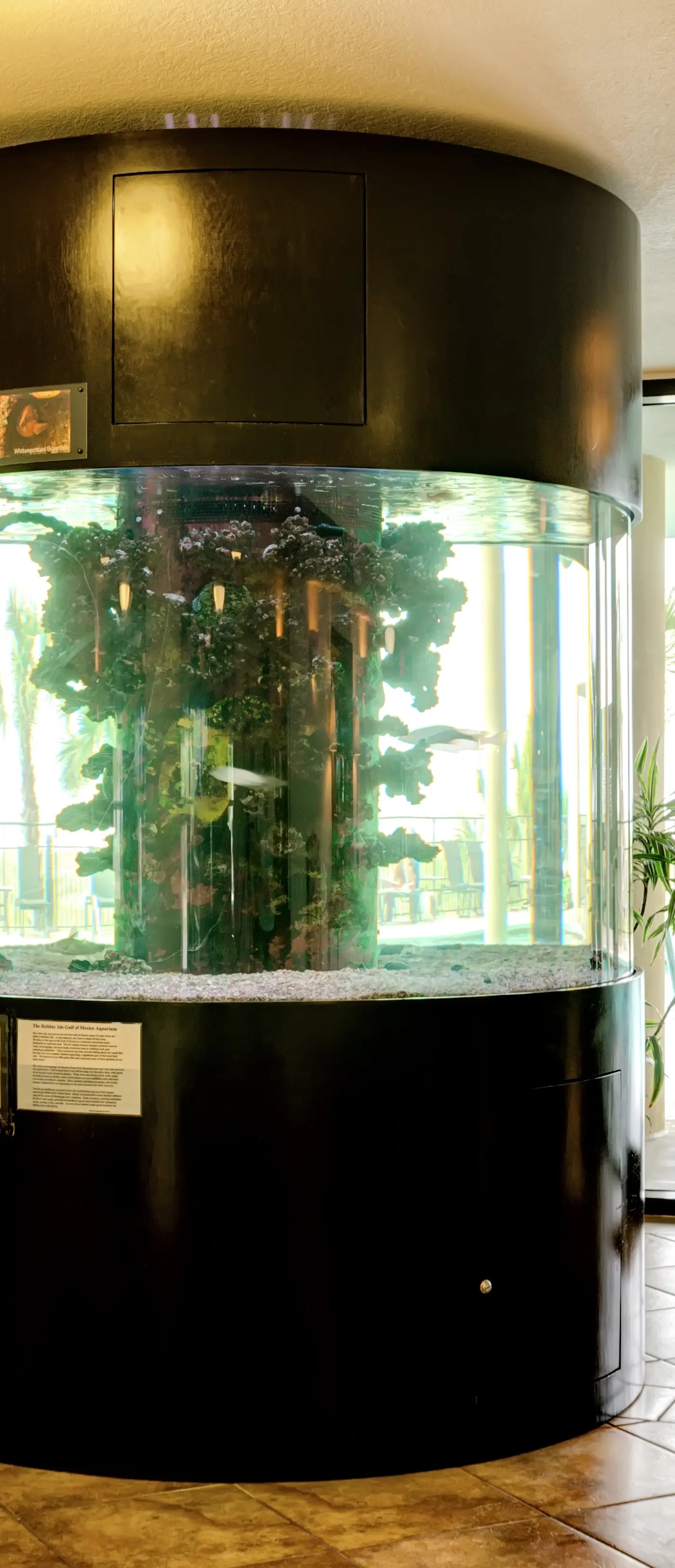 Beachfront condo with pool, private balcony, and laundry