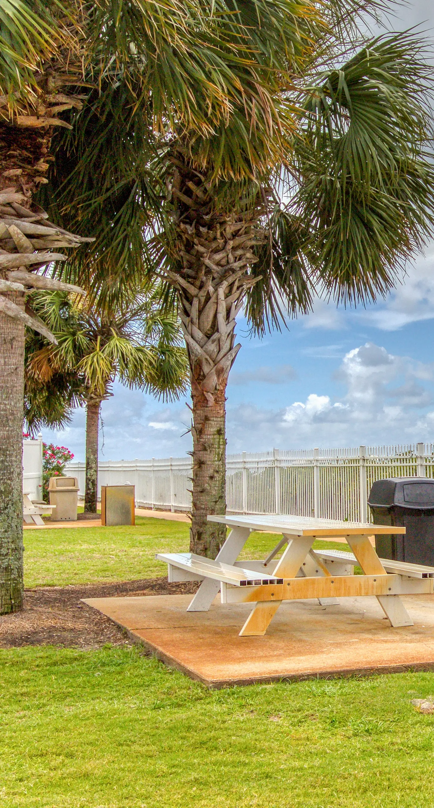 6th-floor remodeled condo w/ Gulf views, beach access, pools, tennis, & BBQ area