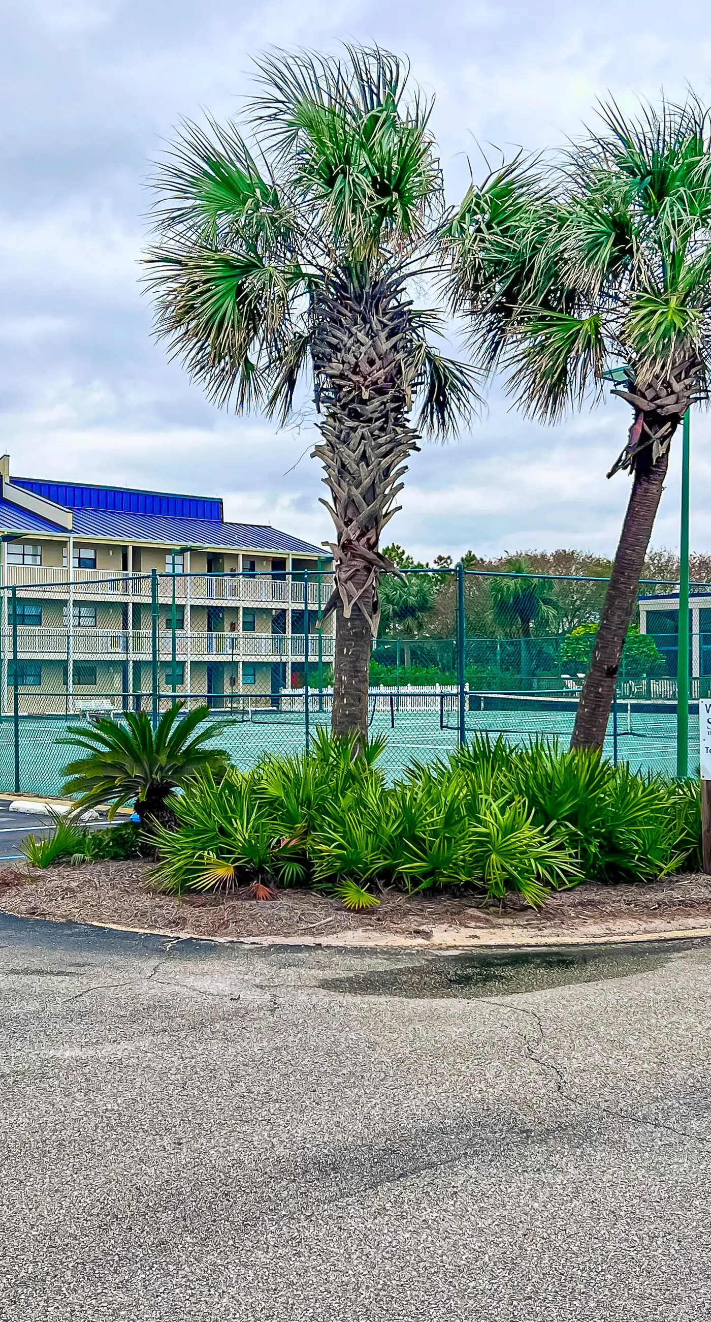 6th-floor remodeled condo w/ Gulf views, beach access, pools, tennis, & BBQ area