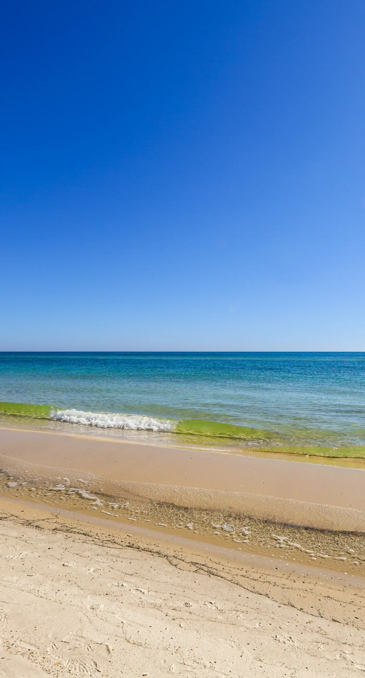 Upscale beachfront retreat w/private balcony, resort pool, sauna, & beach access