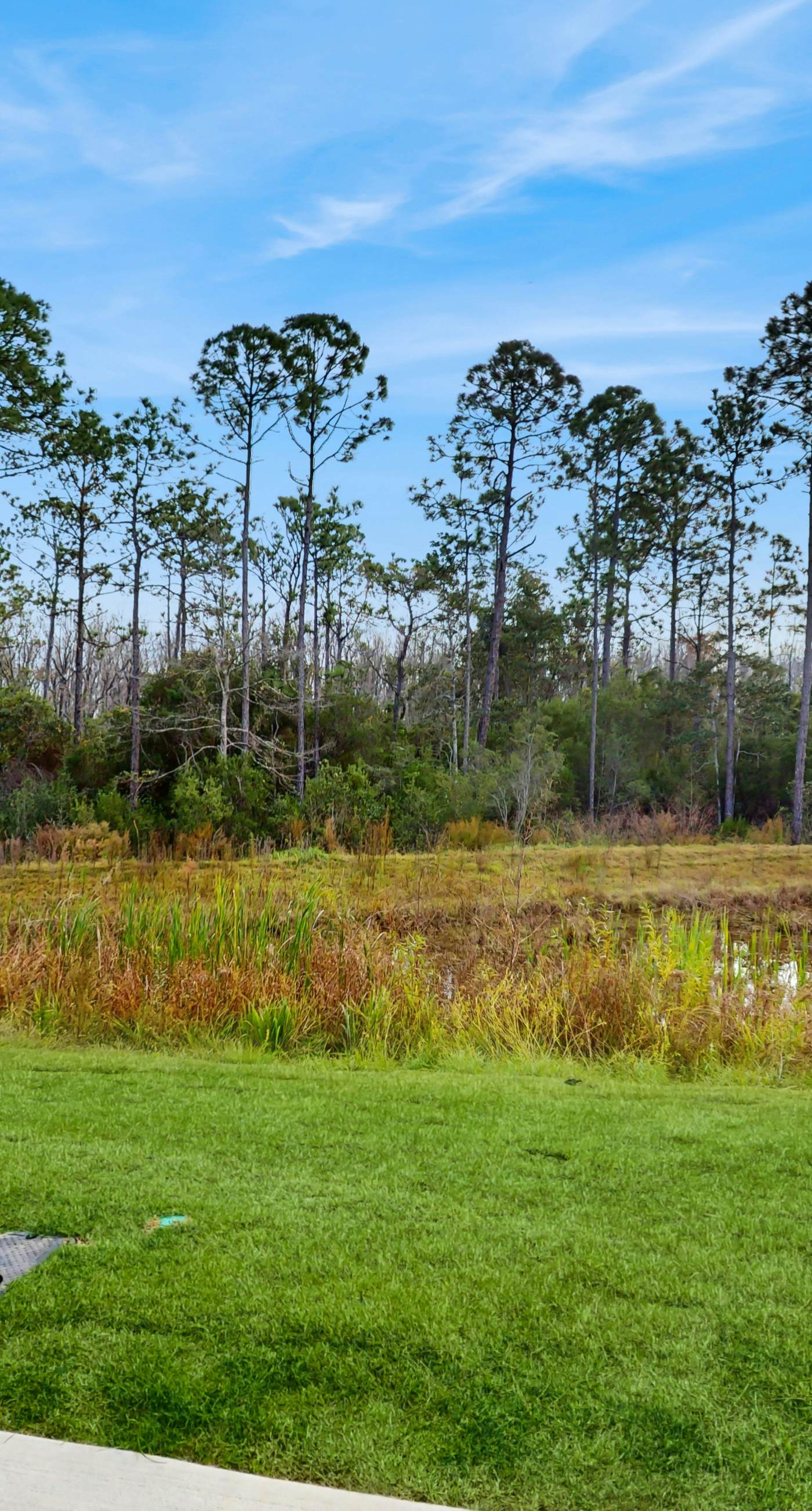 Dog friendly home near the Wharf with internet and free parking