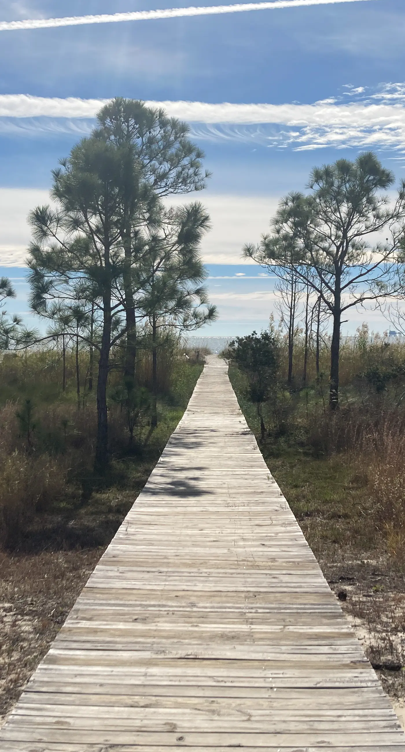 Easy beach access, dog-friendly island home with private hot tub & shared pool