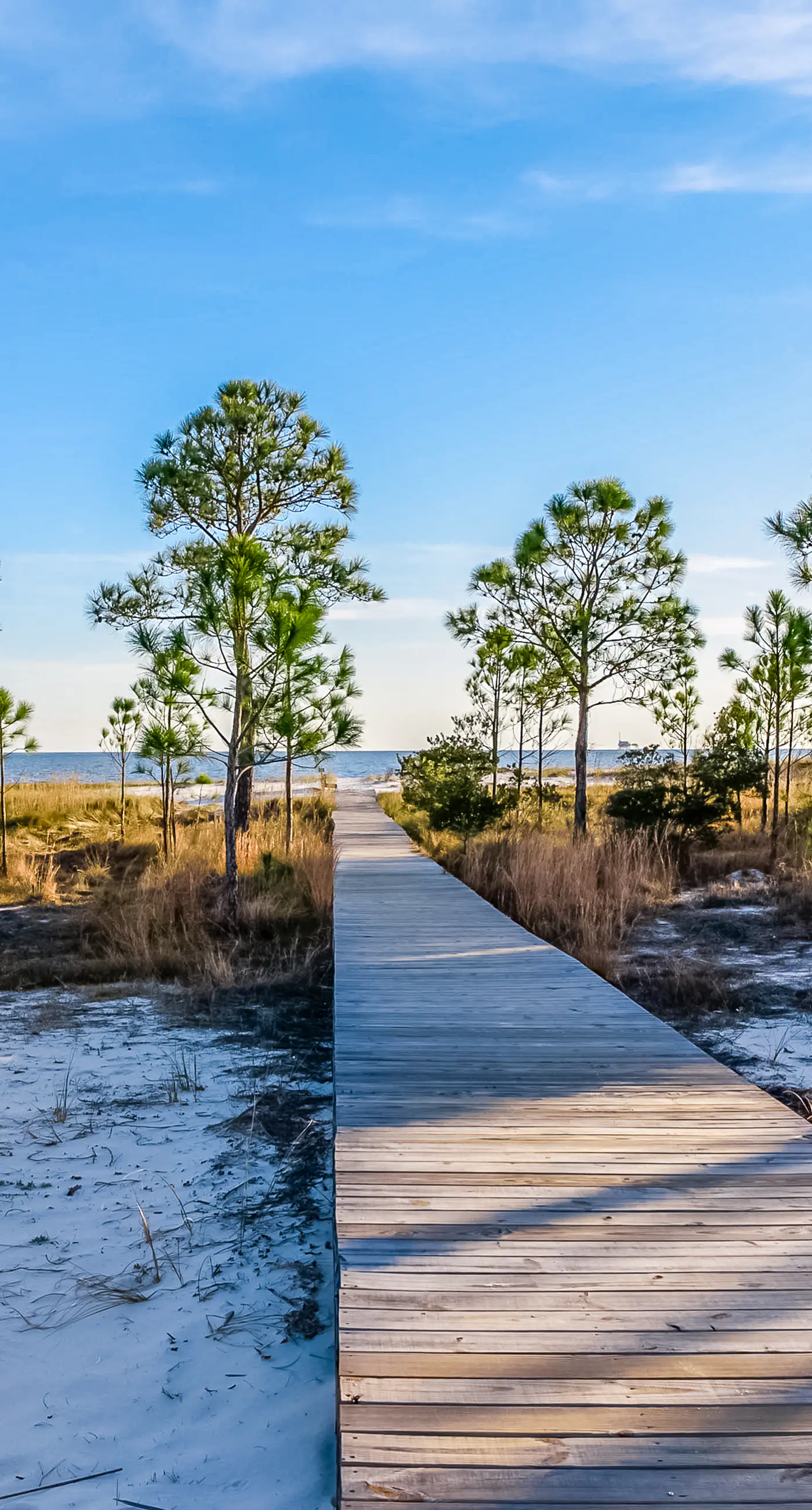 Easy beach access, dog-friendly island home with private hot tub & shared pool