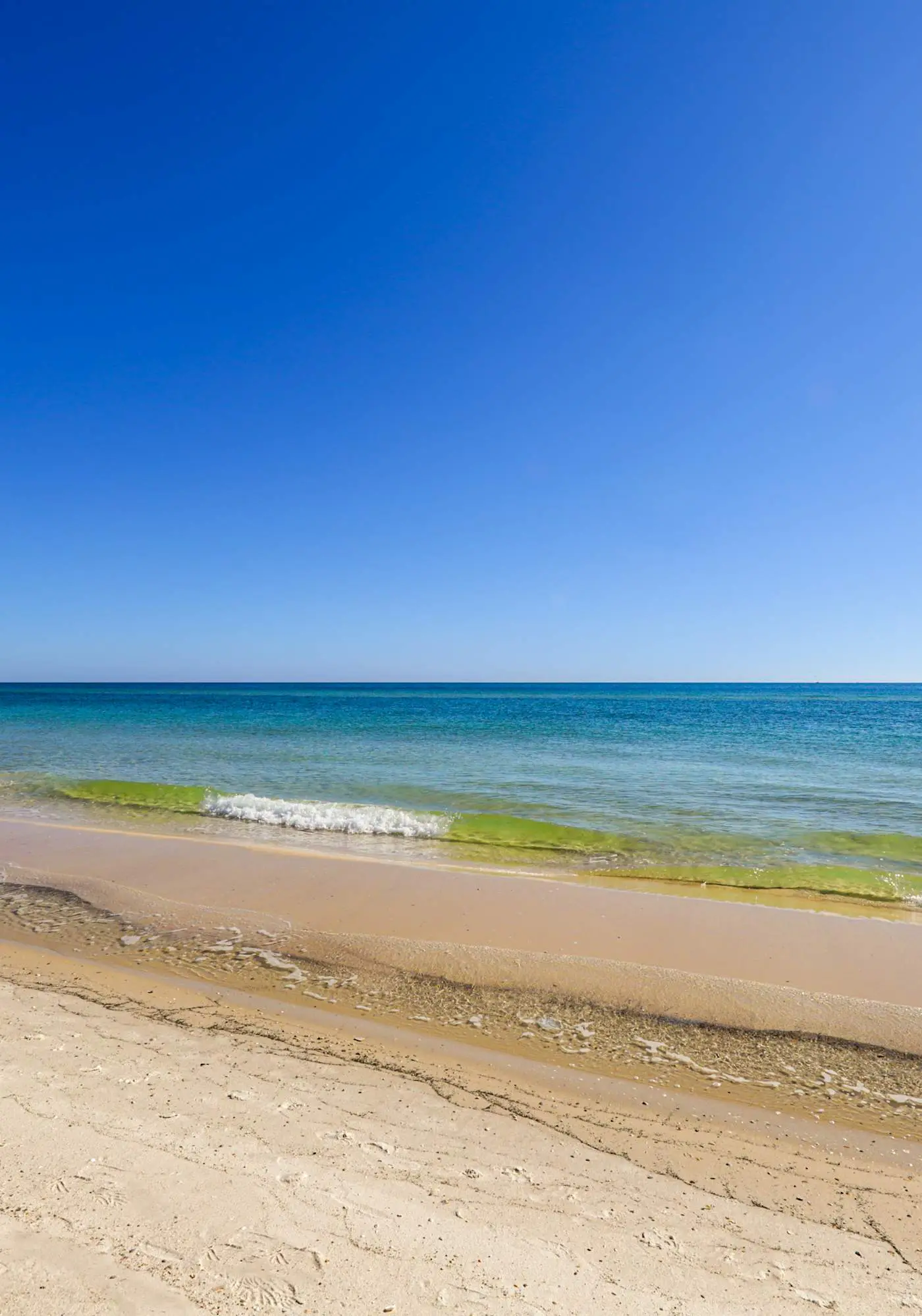 Beachfront condo with Gulf views, indoor & outdoor pools, gym & sauna