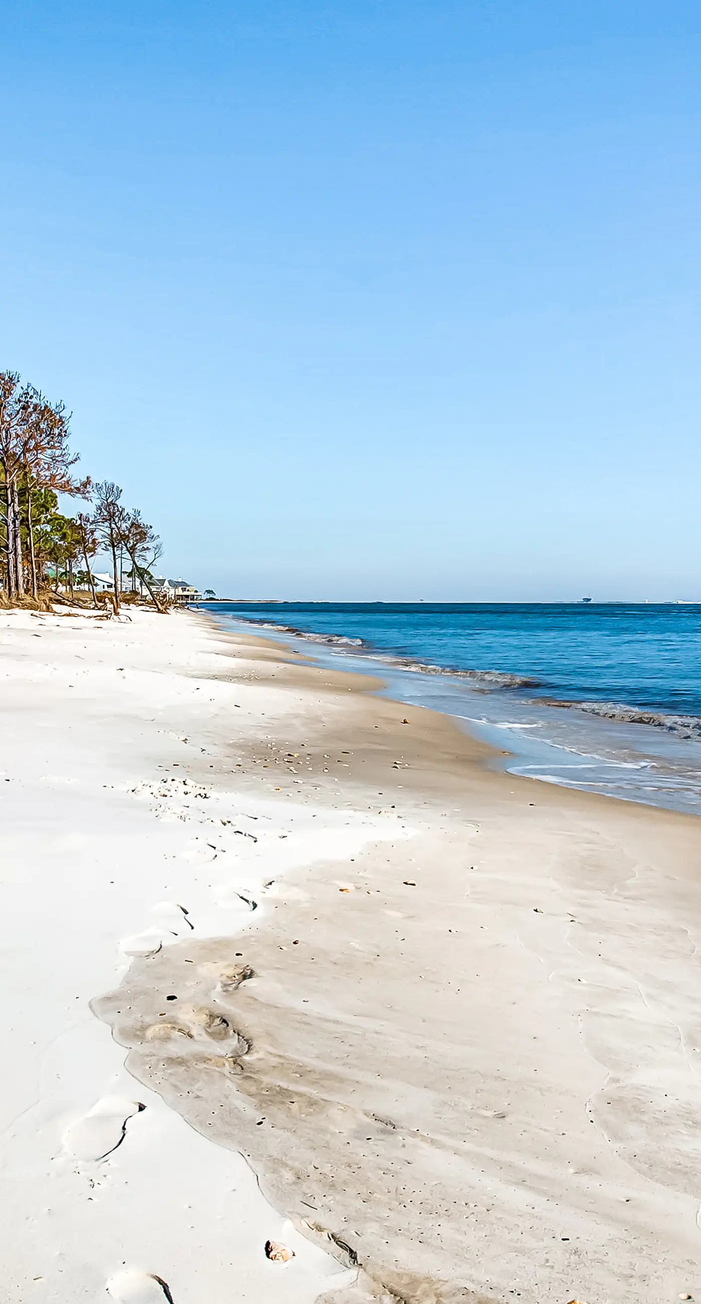 Spacious Island Gem Near the Beach & Town With Large Deck & Full Kitchen - Dogs OK