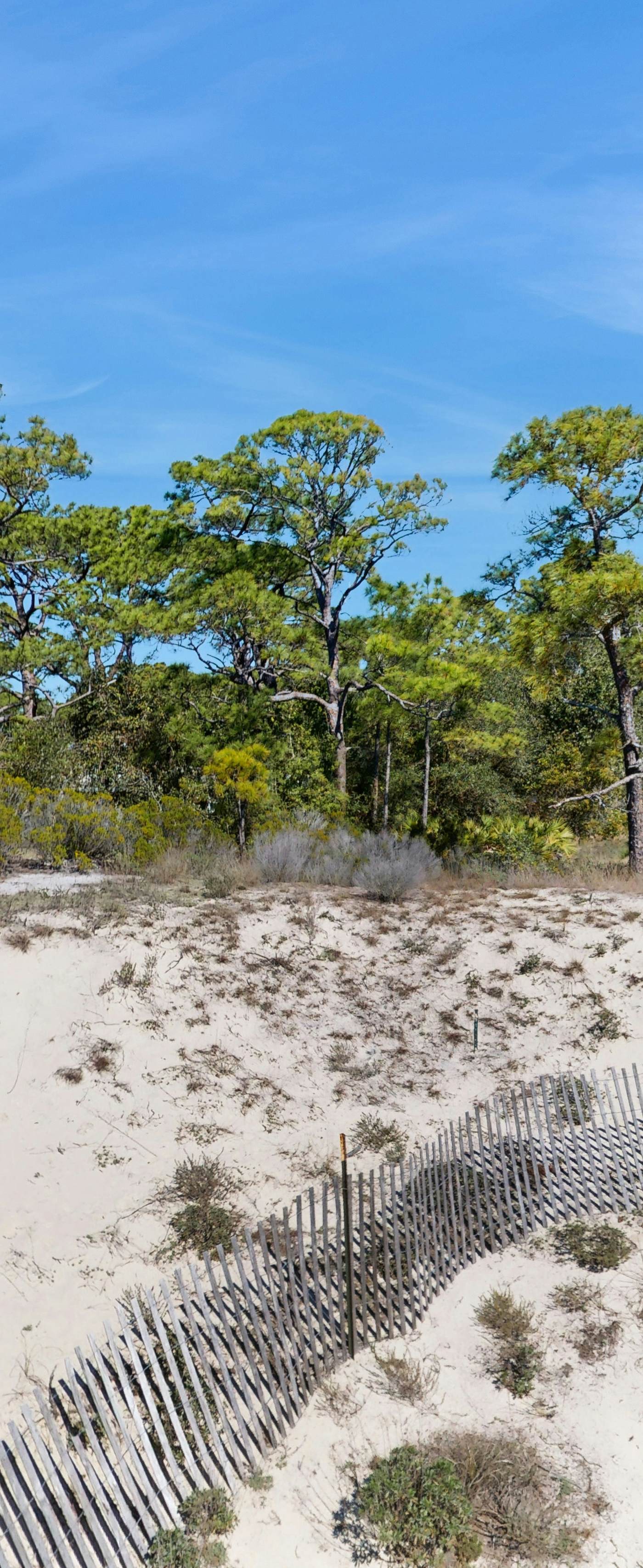 Dog-Friendly Oceanside Home with Free WiFi, Central AC, Private W&D, Balcony