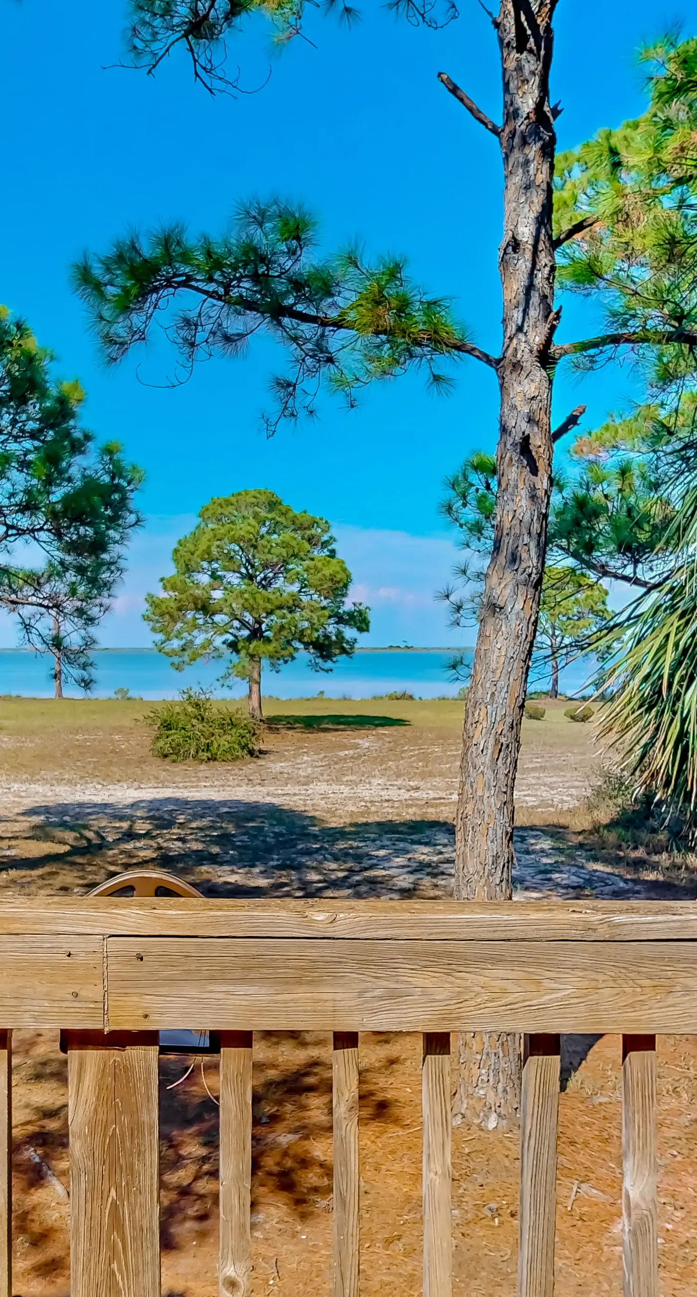 Bayfront home with Gulf views & deck with private swim spa - dog-friendly