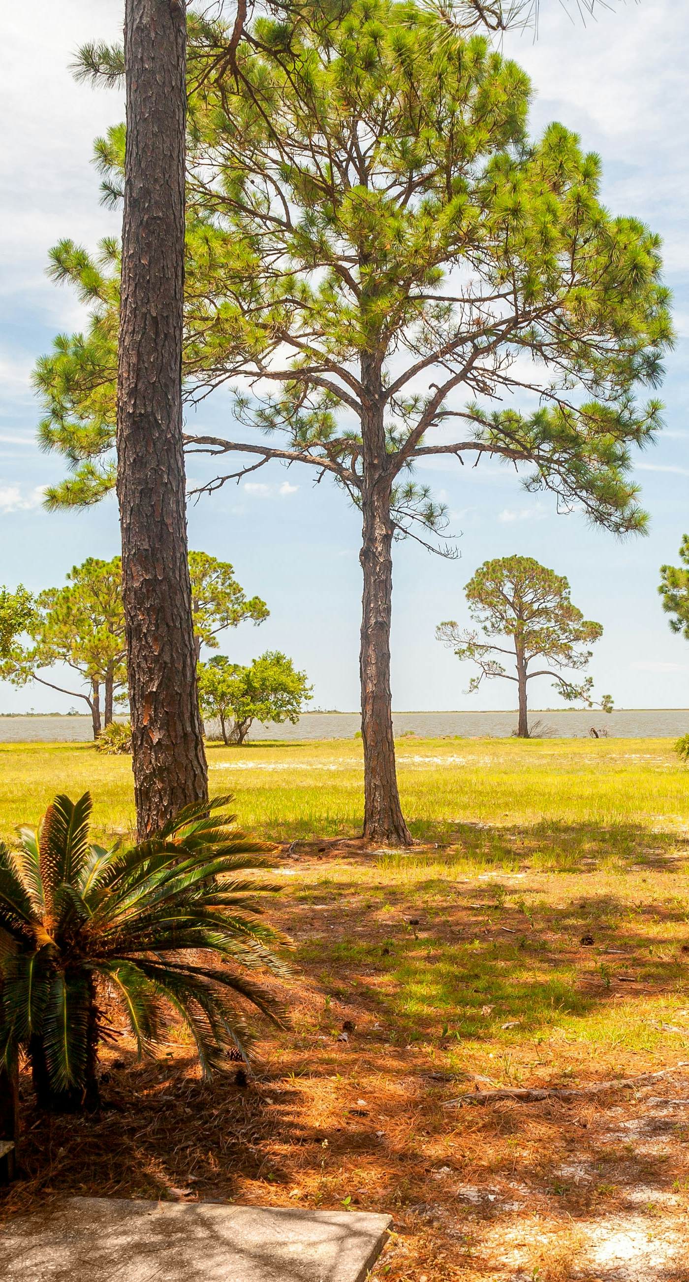 Bayfront home with Gulf views & deck with private swim spa - dog-friendly
