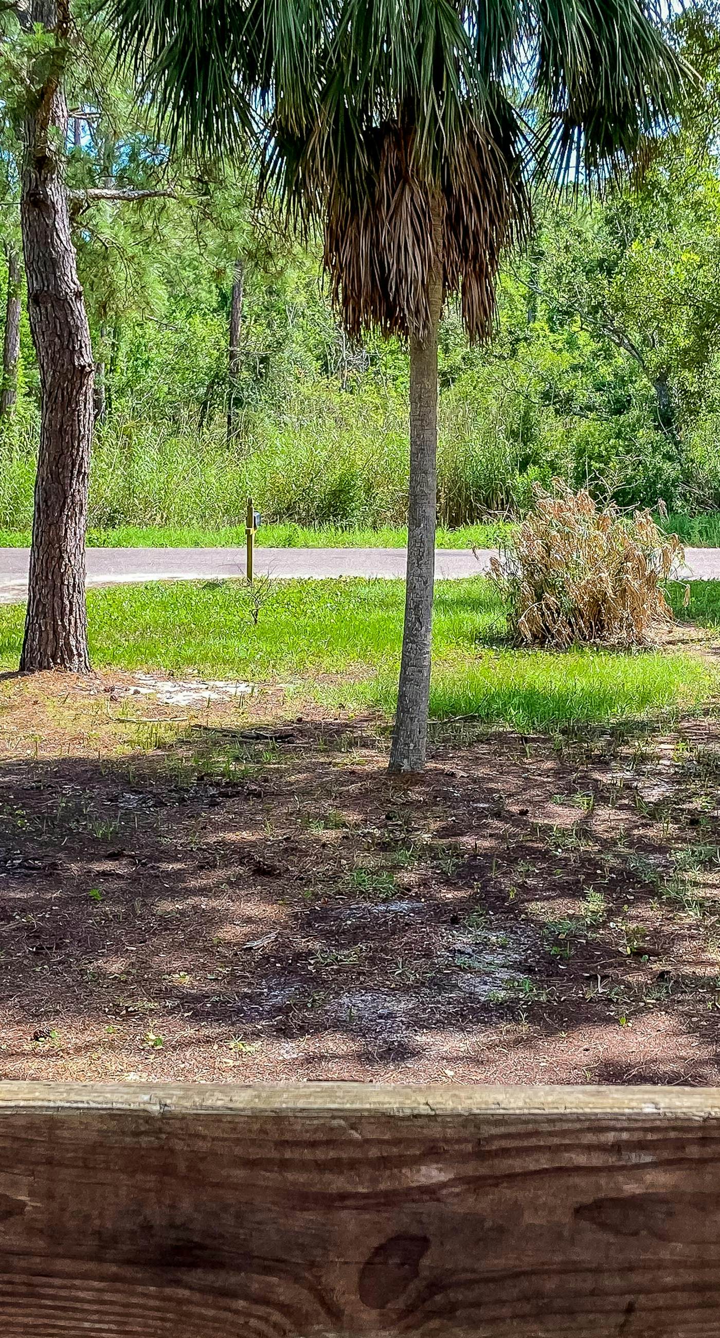 Bayfront home with Gulf views & deck with private swim spa - dog-friendly