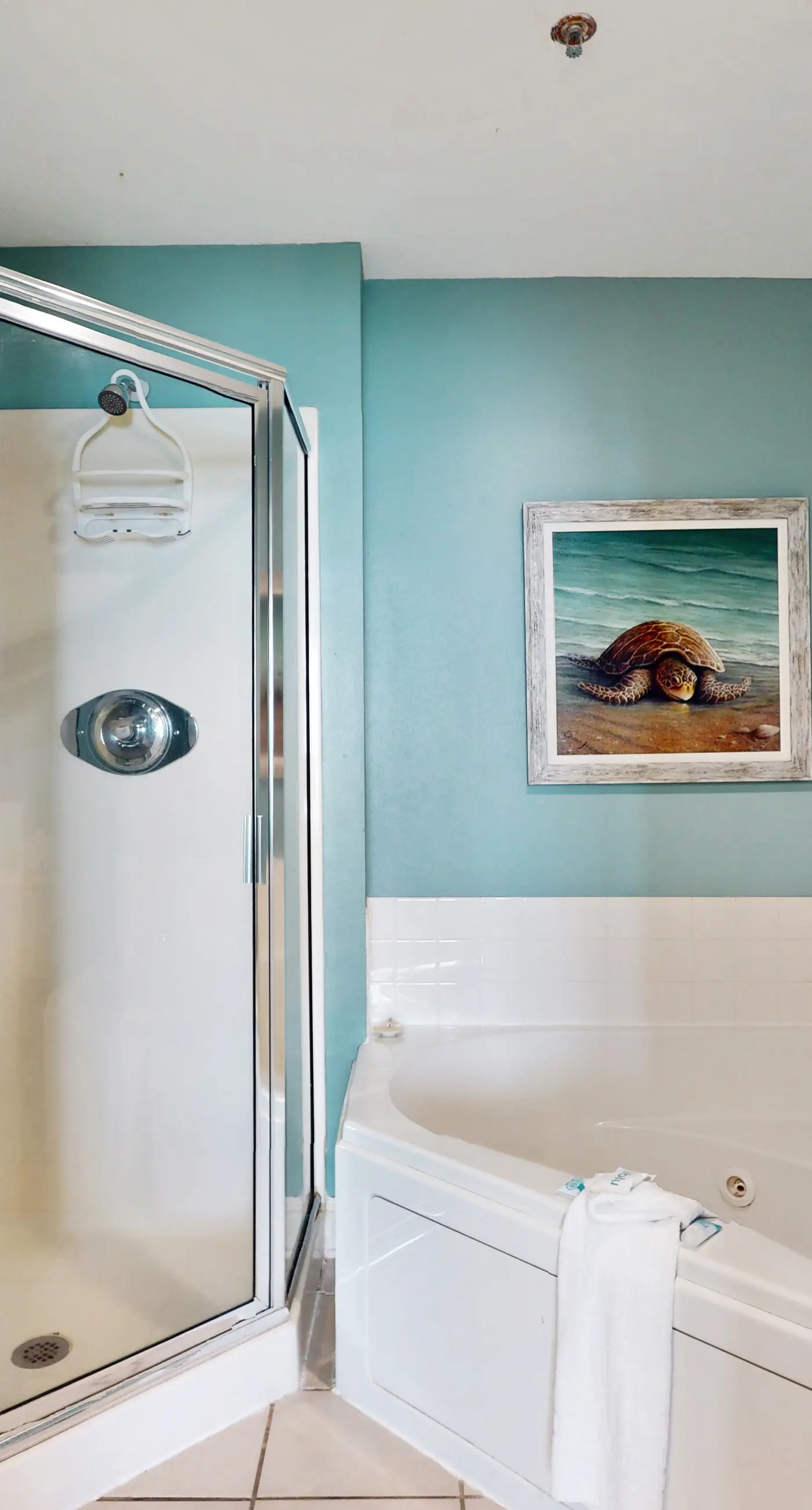 Oceanfront condo with sweeping views, washer/dryer, central AC, & access to pool