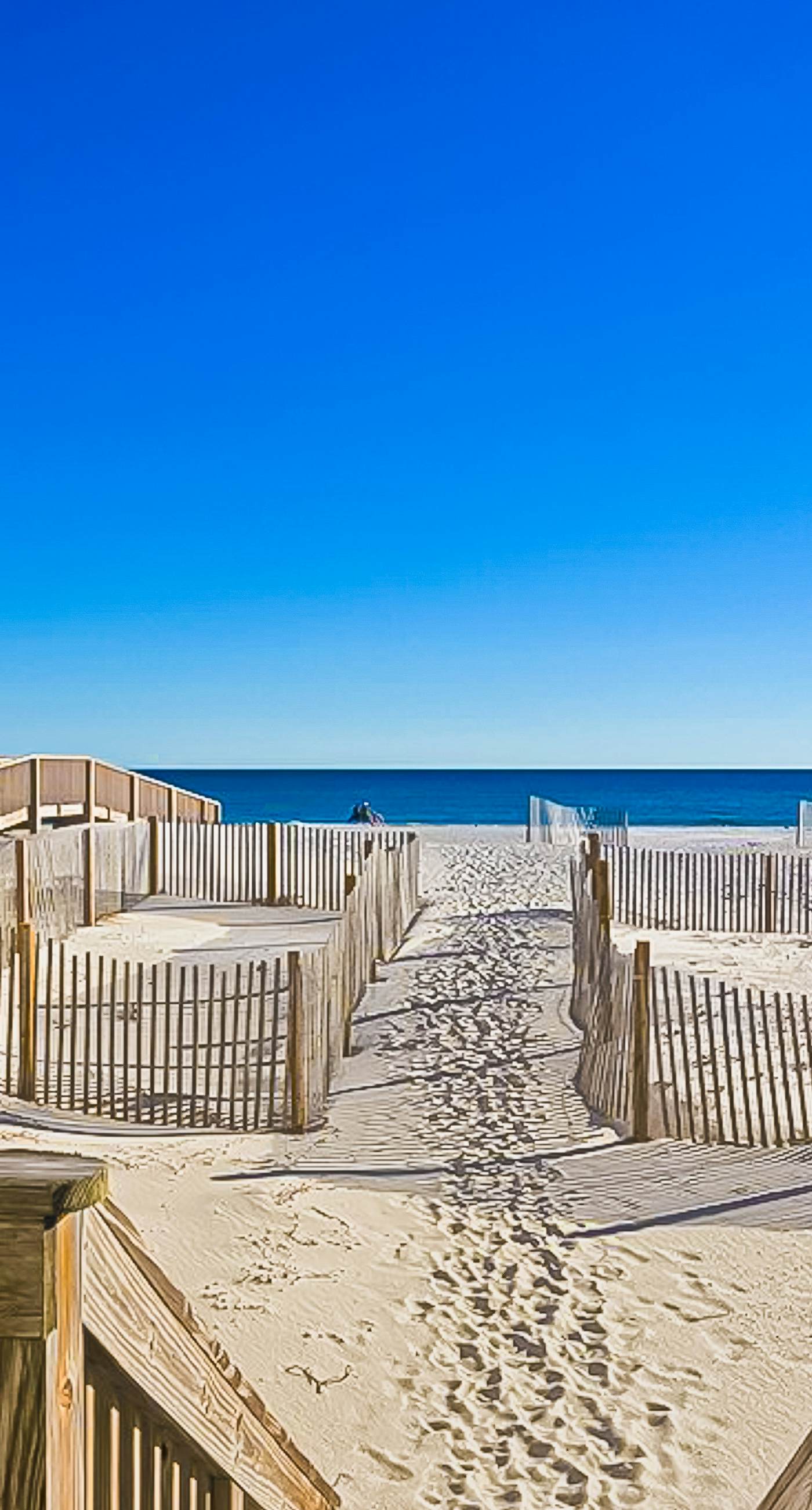 Unique dog-friendly Gulf-front condo with amazing views, pools, sauna, gym, & AC