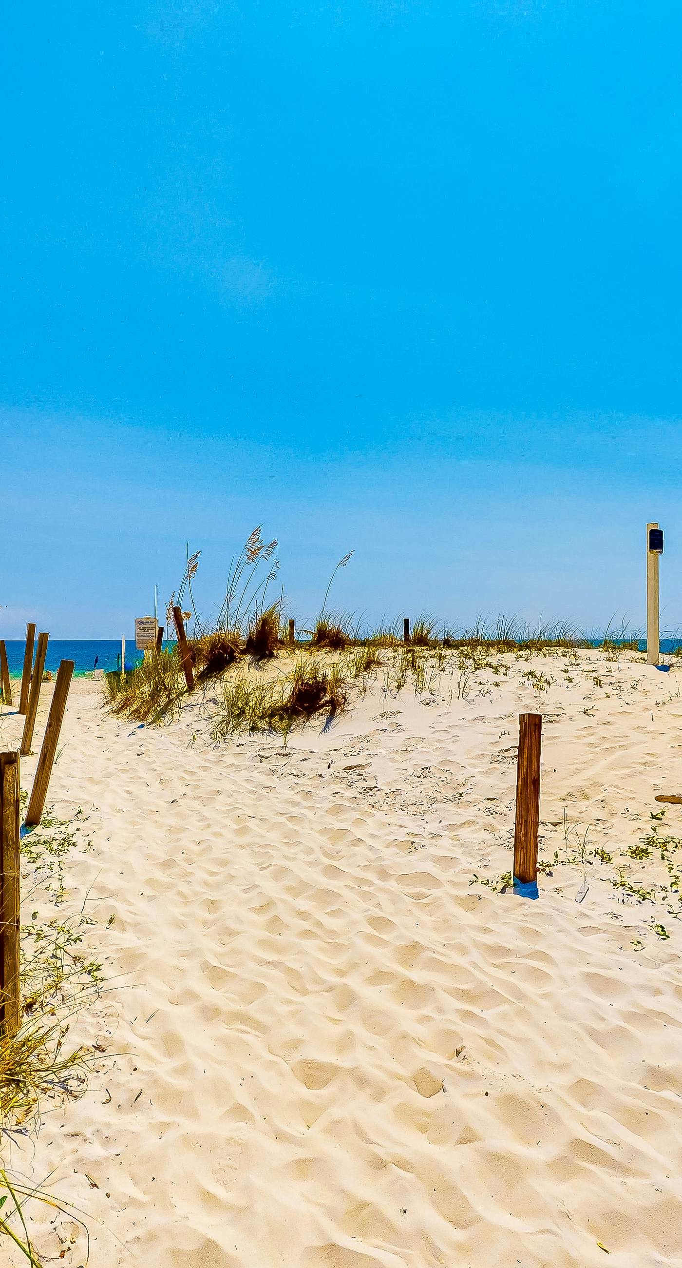 Unique dog-friendly Gulf-front condo with amazing views, pools, sauna, gym, & AC